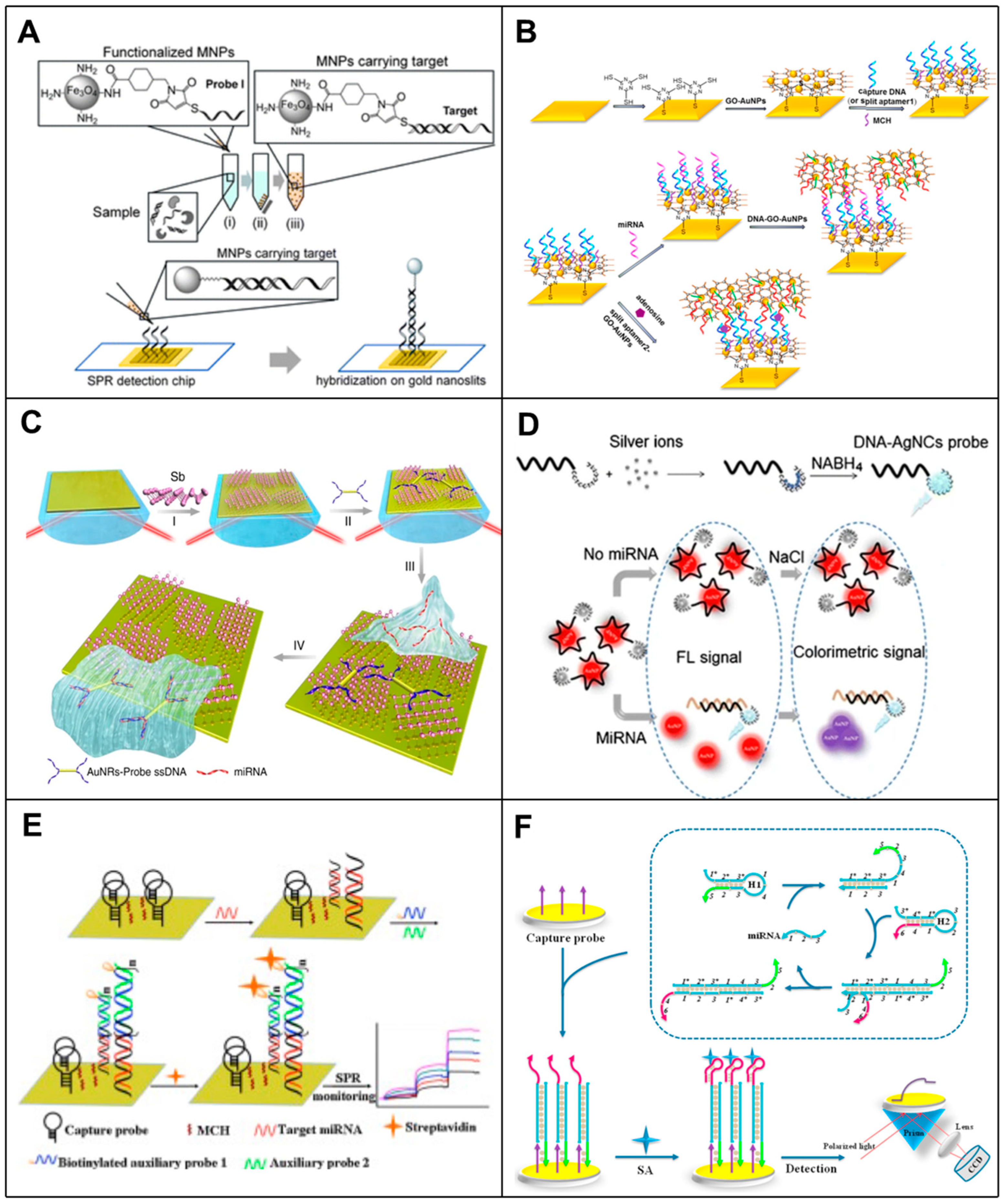 Biosensors 14 00200 g003