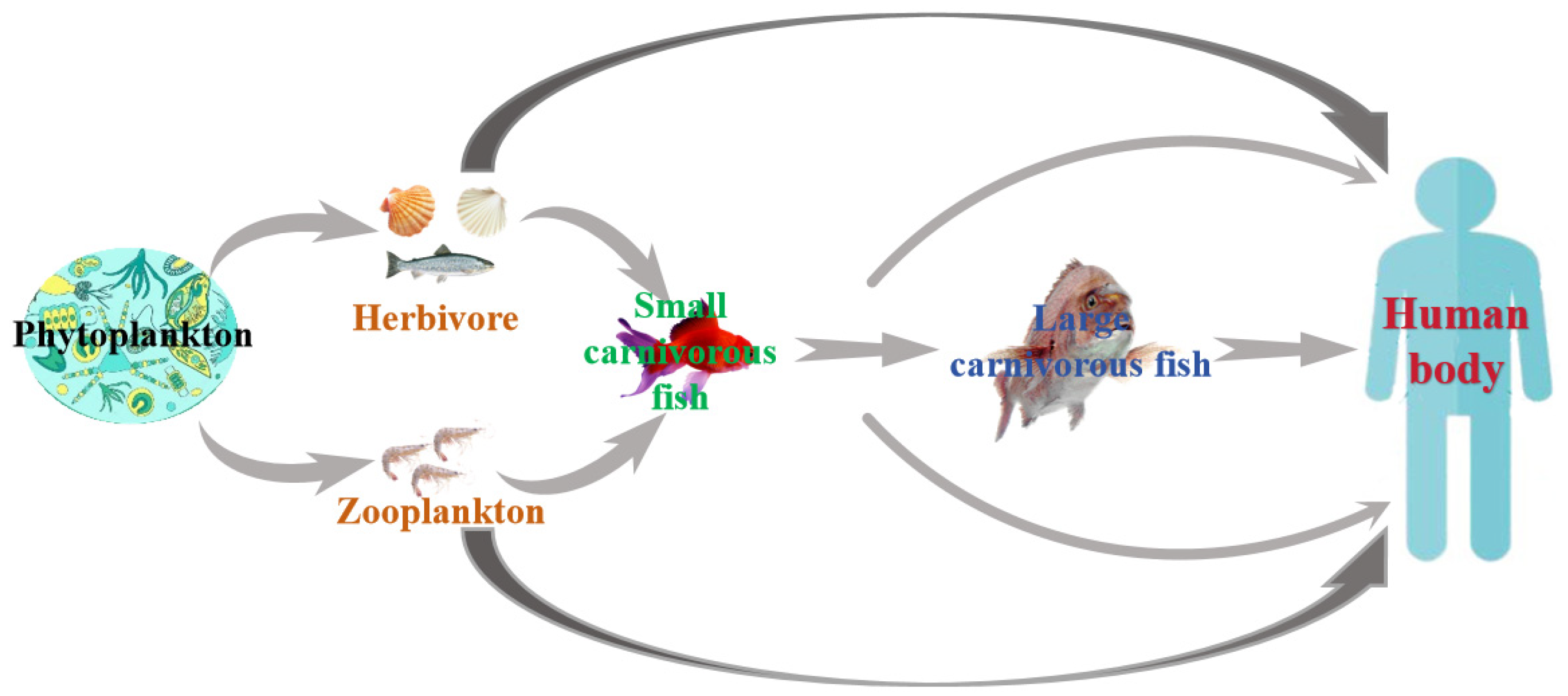 Biosensors 14 00203 g003
