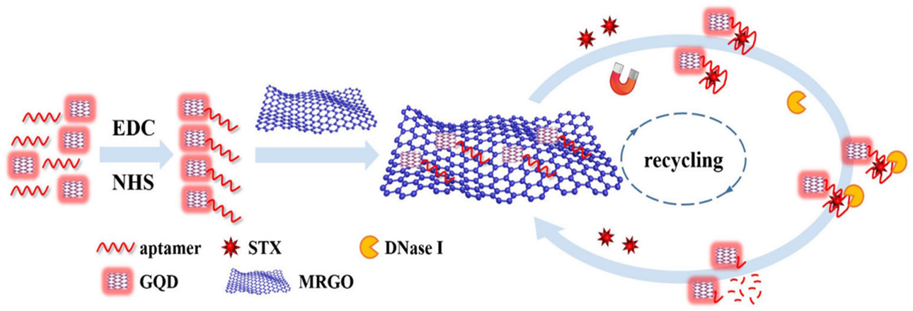 Biosensors 14 00203 g004