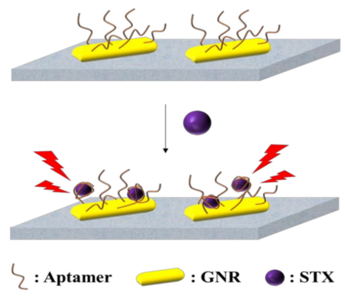 Biosensors 14 00203 g007