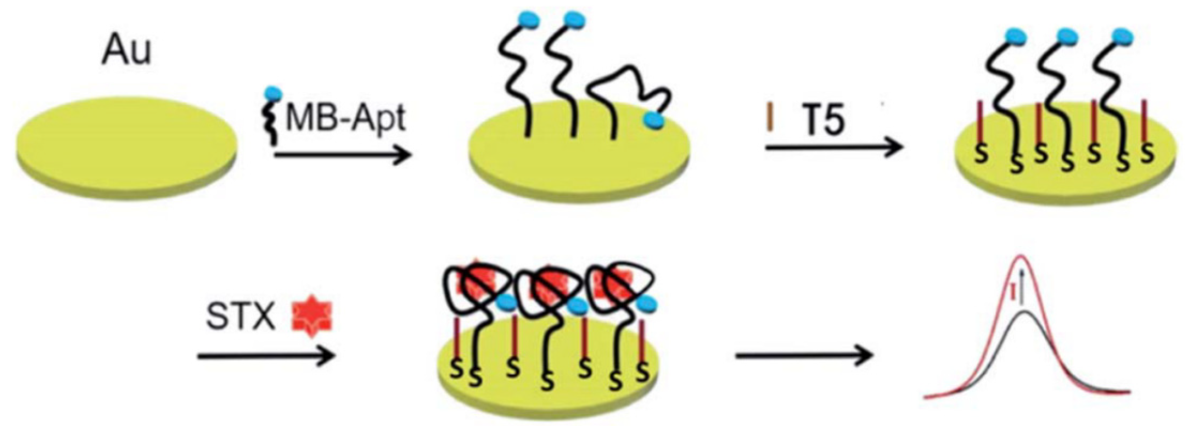 Biosensors 14 00203 g008