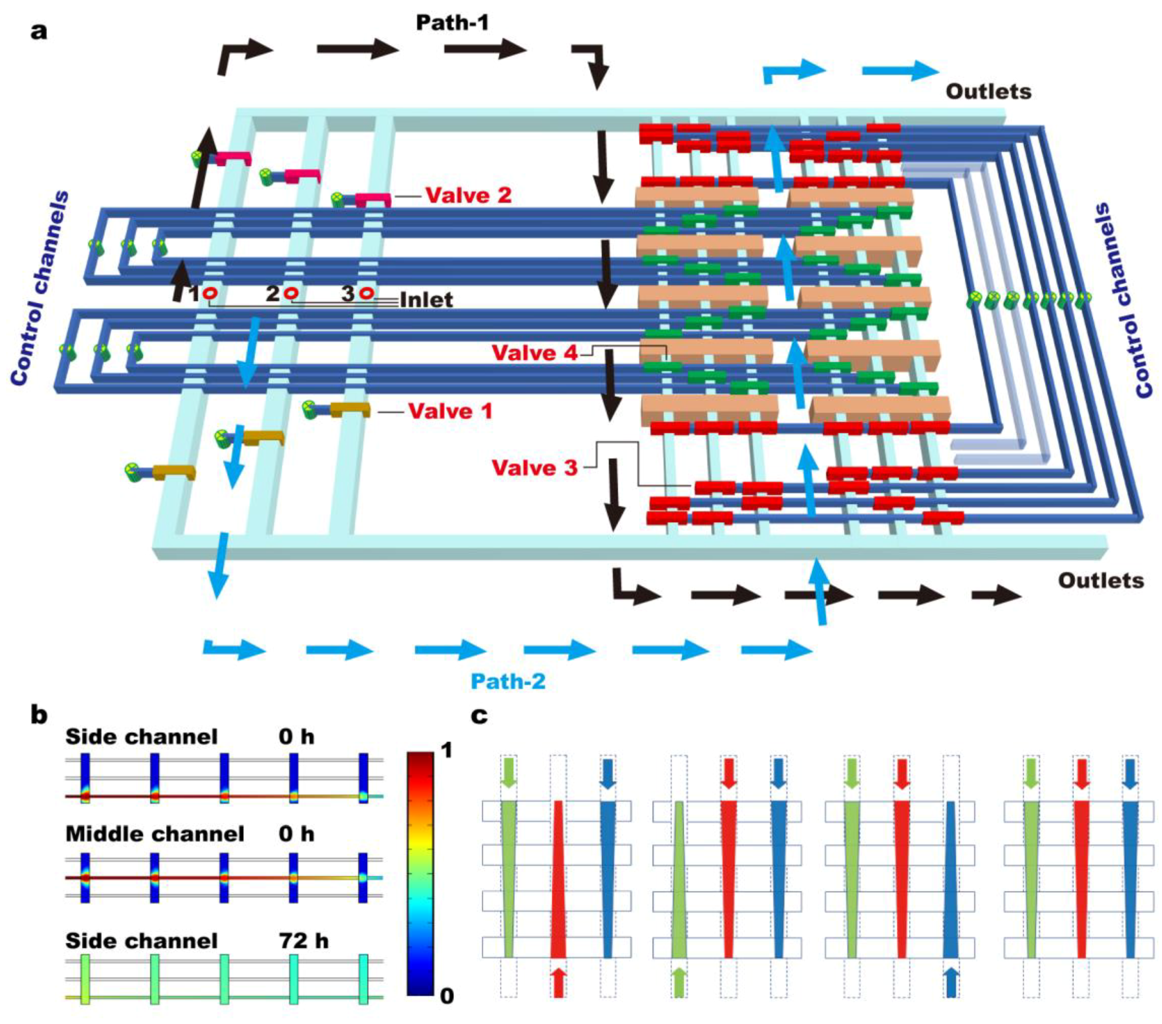 Biosensors 14 00212 g001