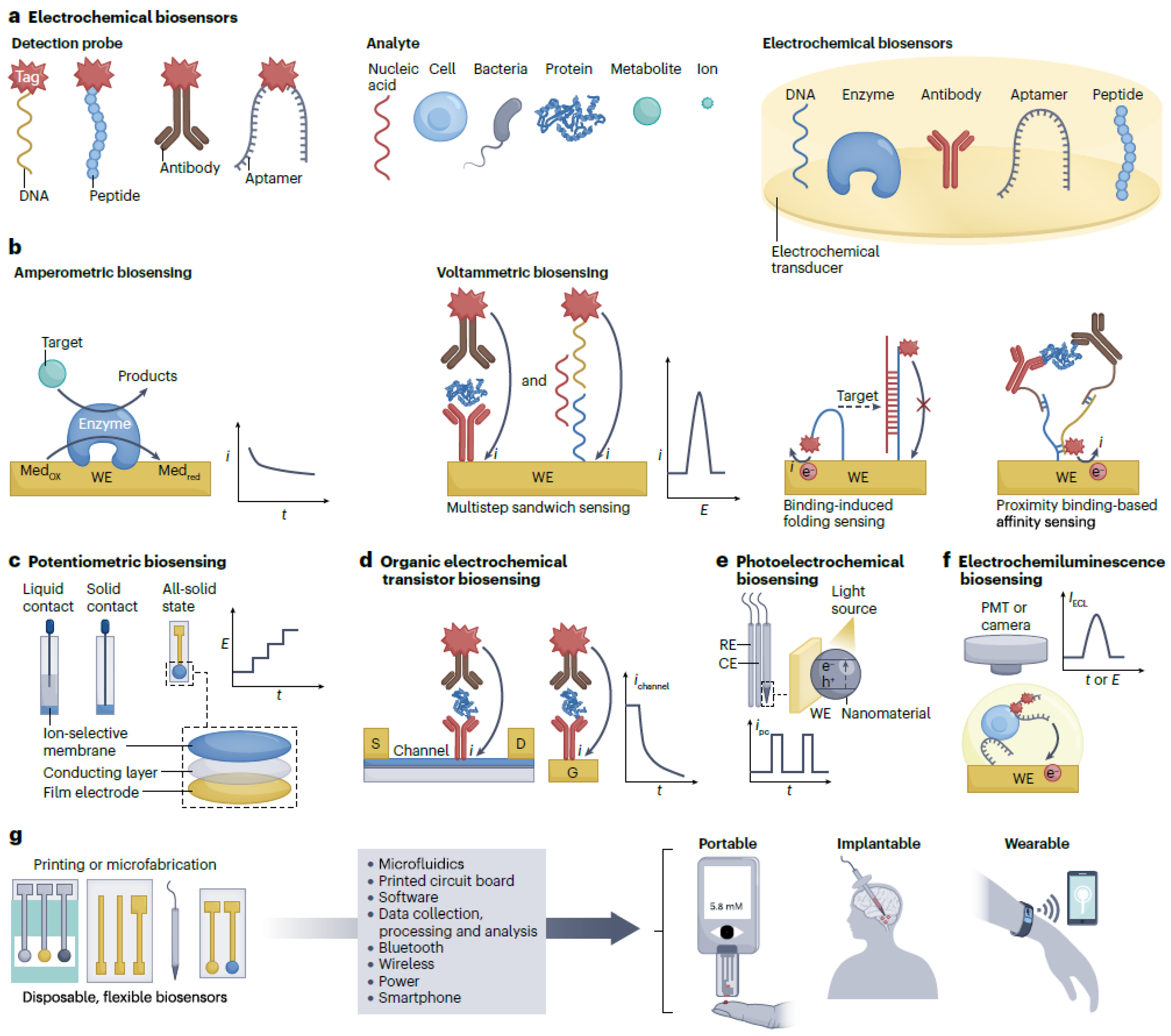 Biosensors 14 00214 g001