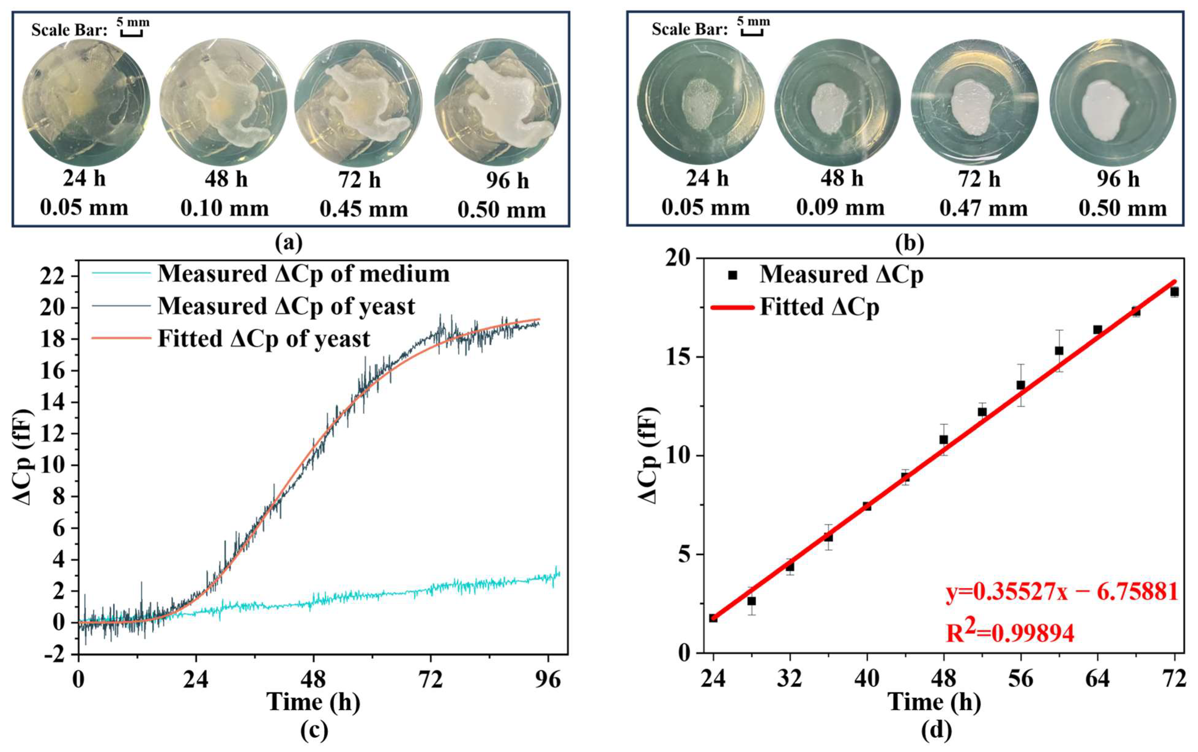 Biosensors 14 00216 g005