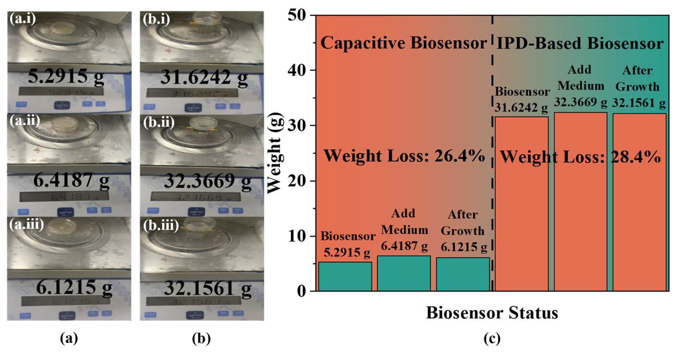 Biosensors 14 00216 g007
