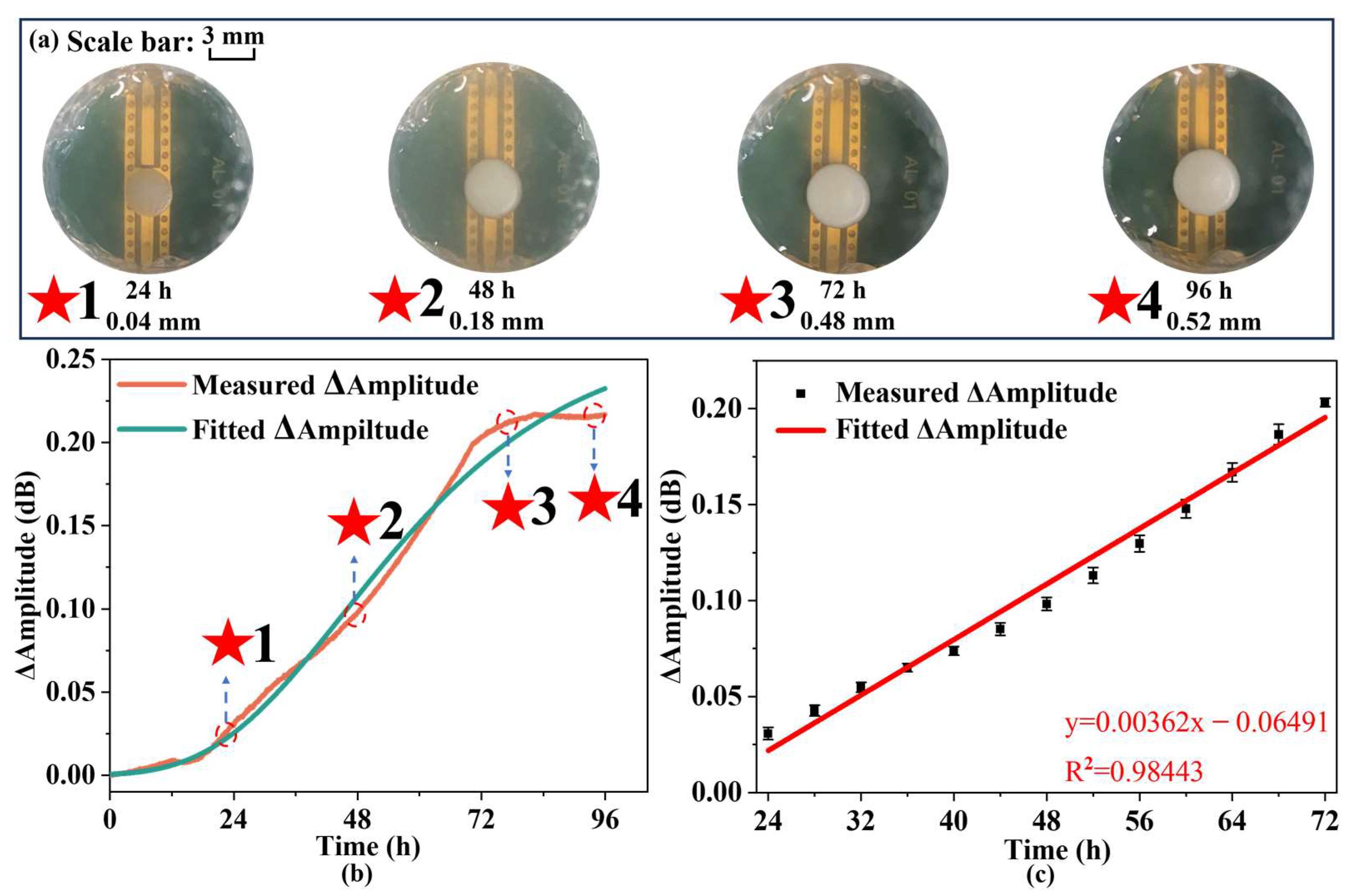 Biosensors 14 00216 g008