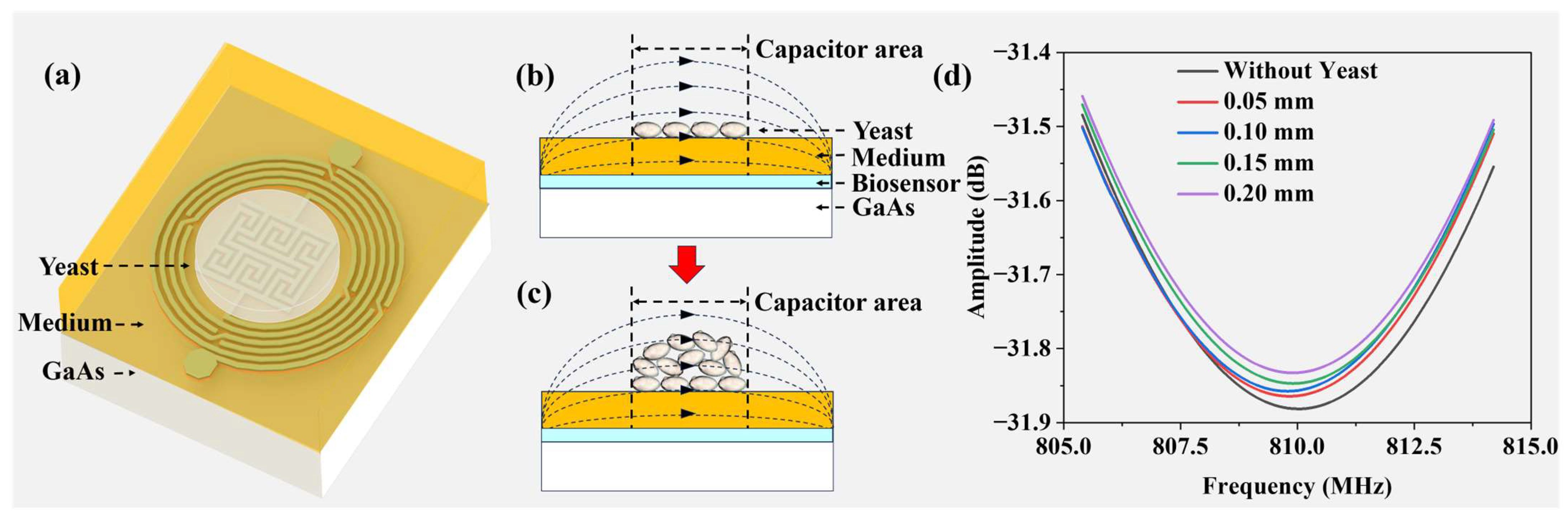 Biosensors 14 00216 g009