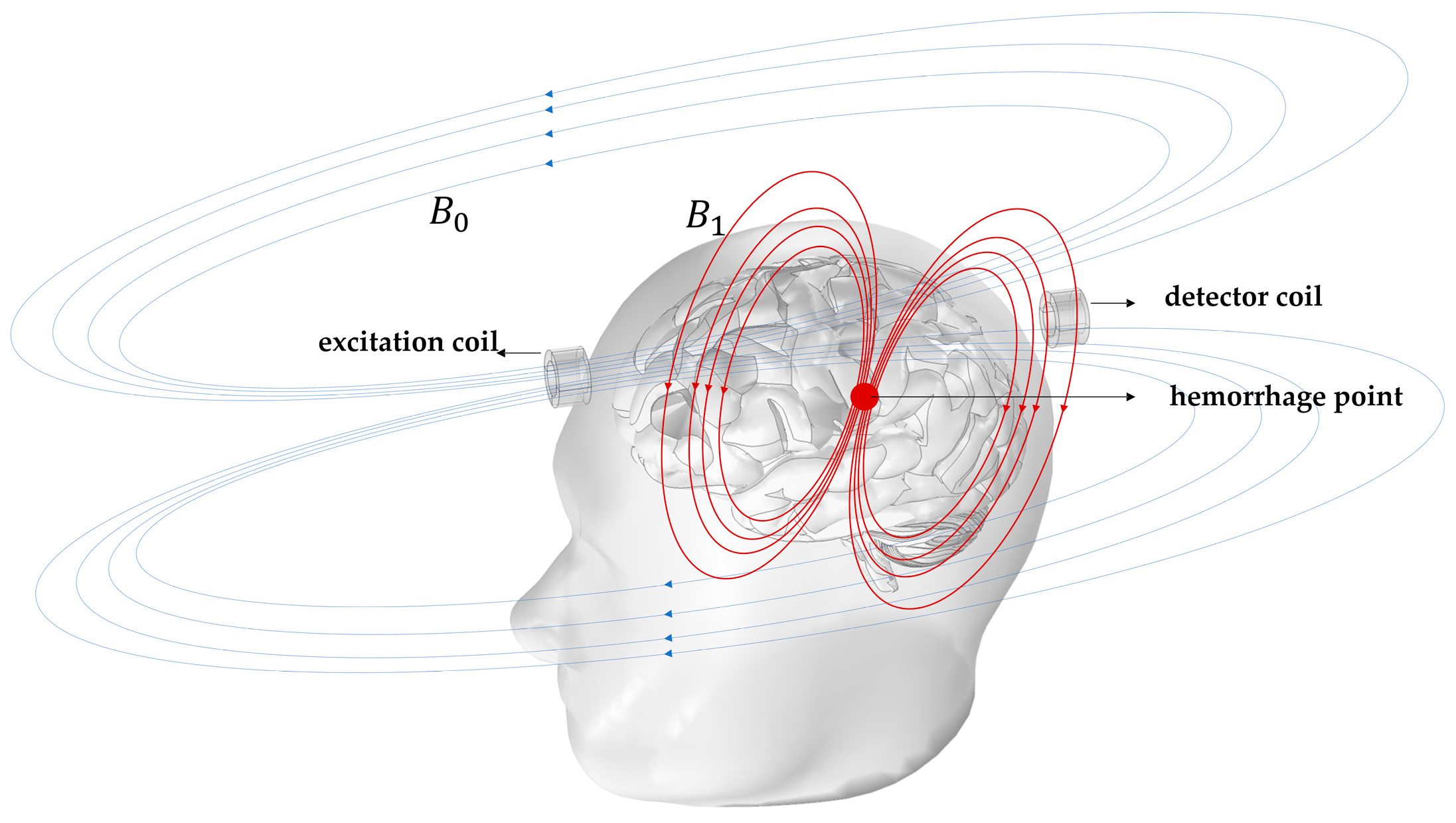 Biosensors 14 00217 g001