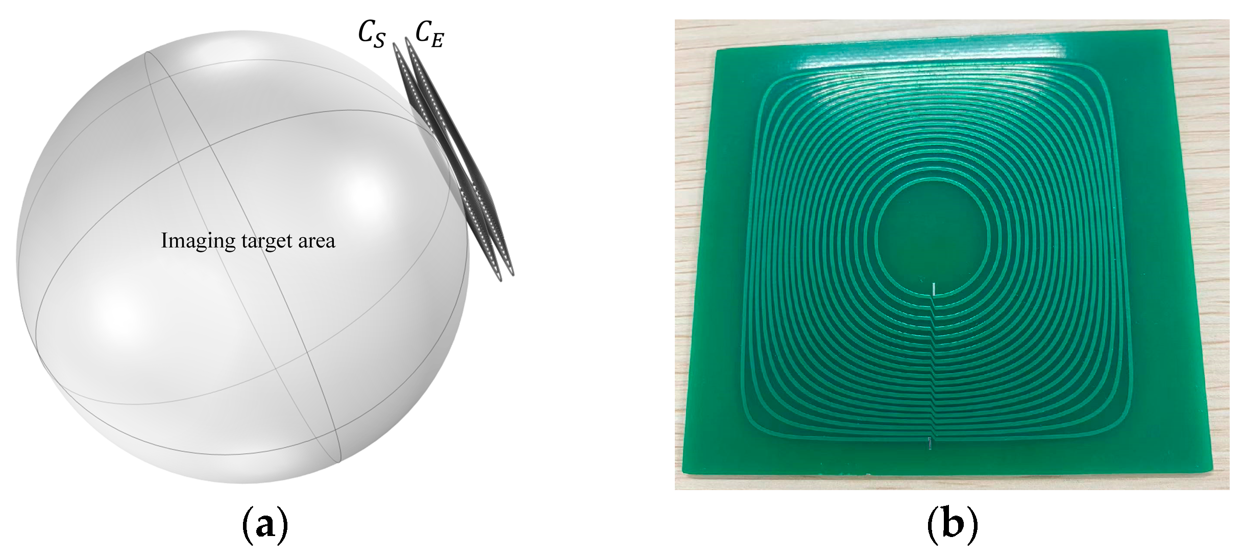 Biosensors 14 00217 g007