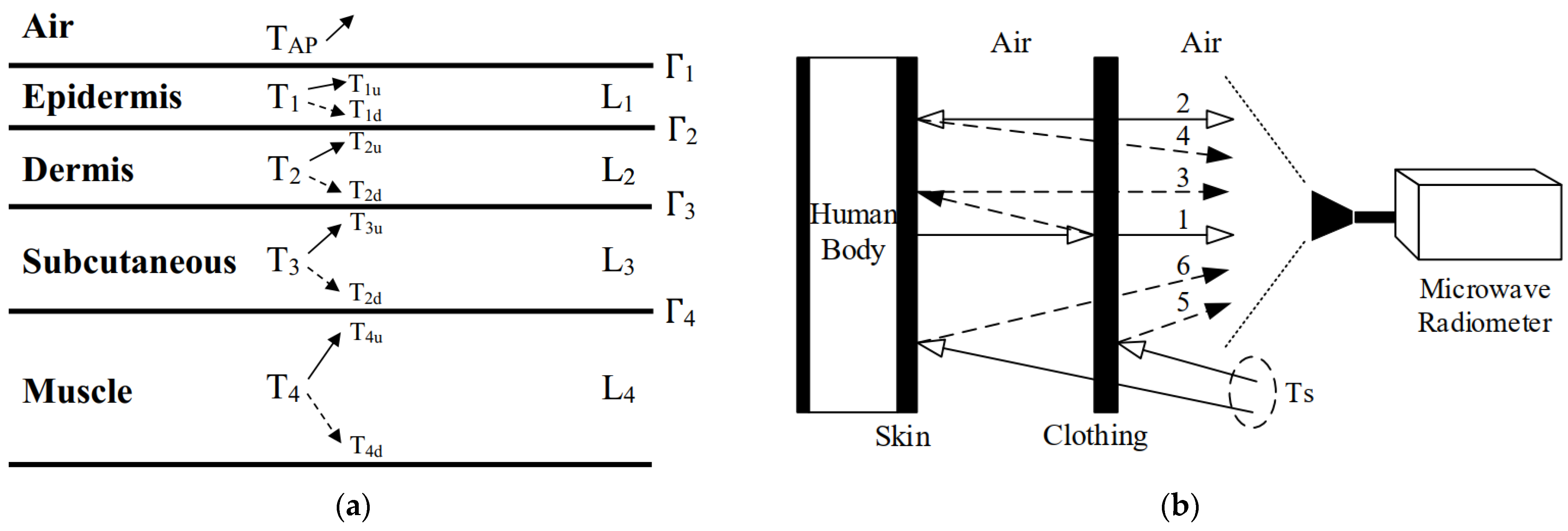 Biosensors 14 00221 g004