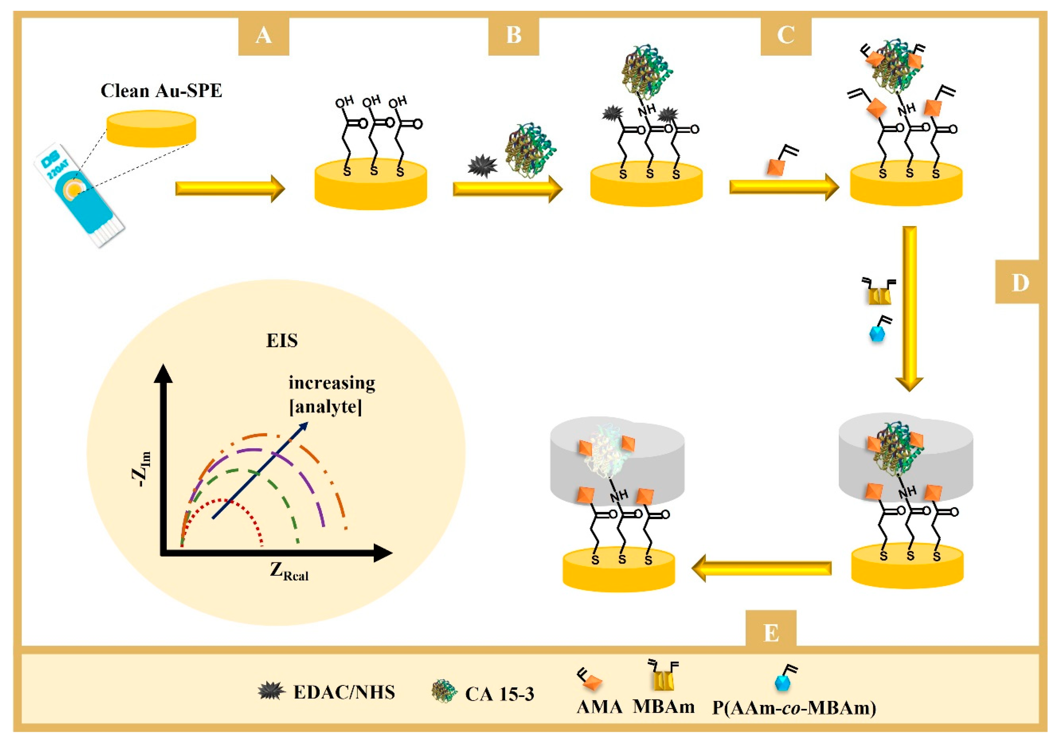 Biosensors 14 00222 g001b