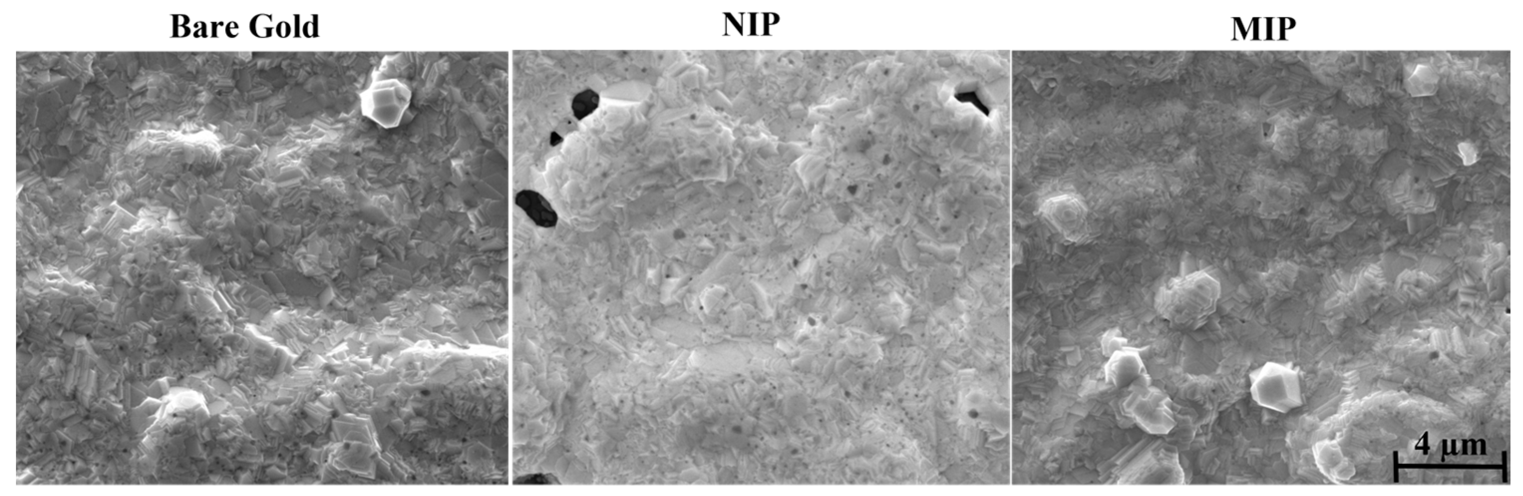Biosensors 14 00222 g004