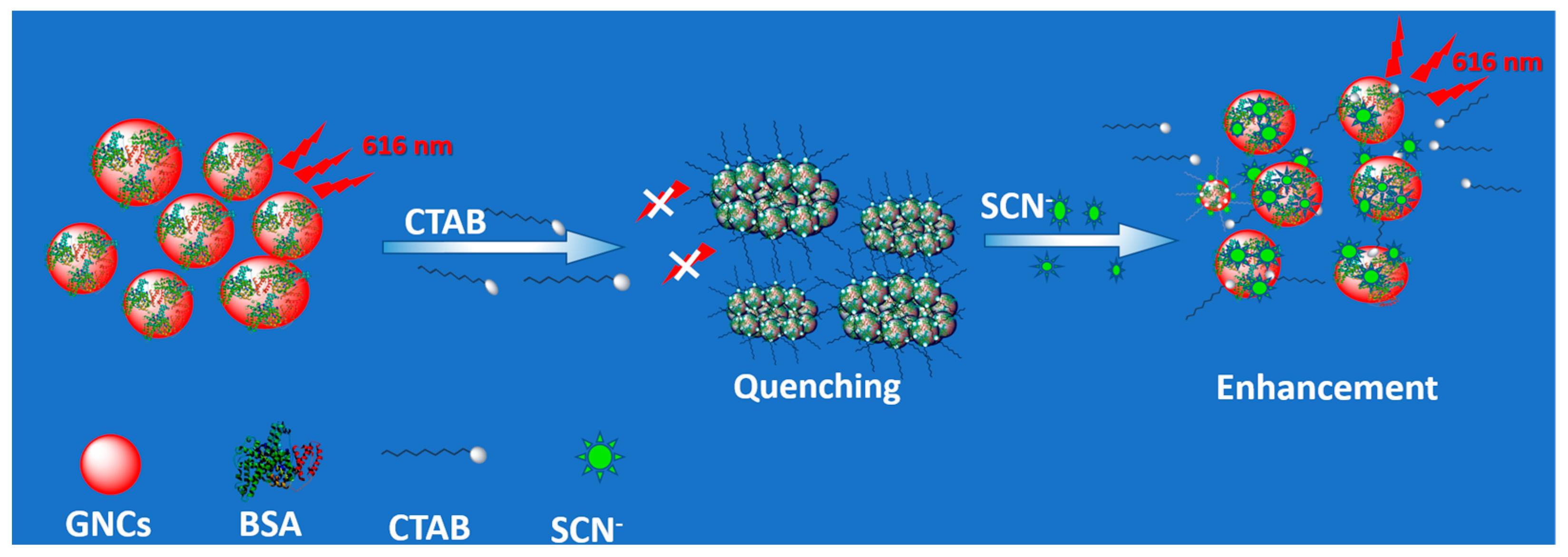 Biosensors 14 00223 sch001