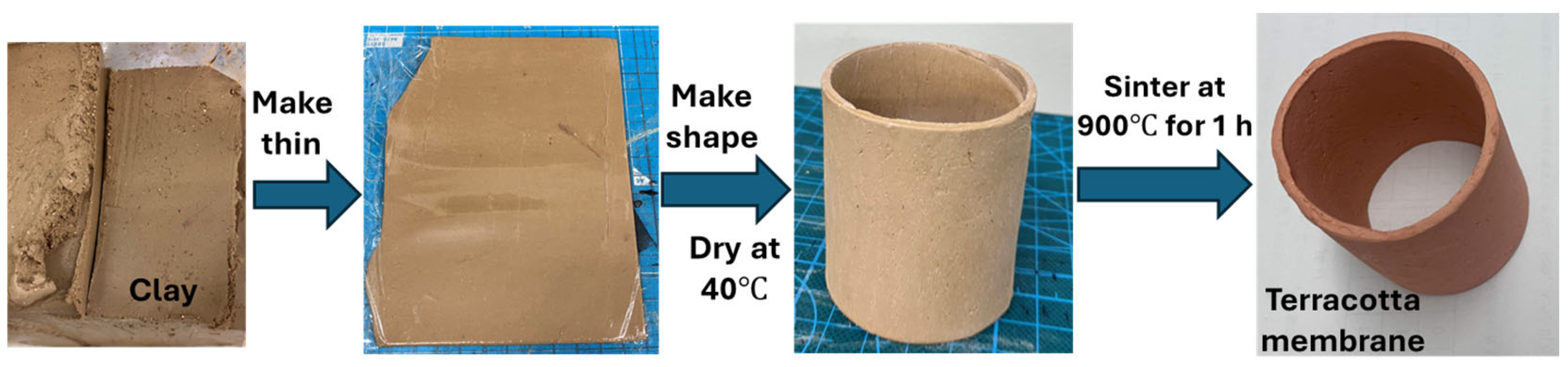 Biosensors 14 00224 g001