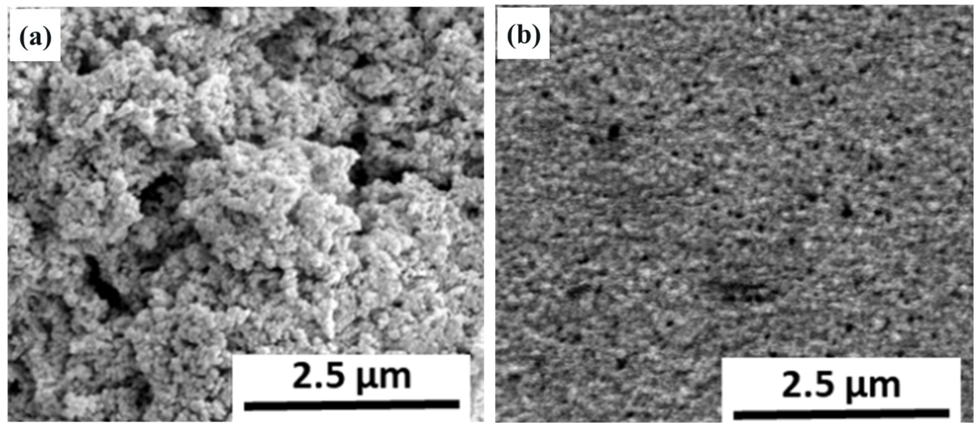 Biosensors 14 00224 g004