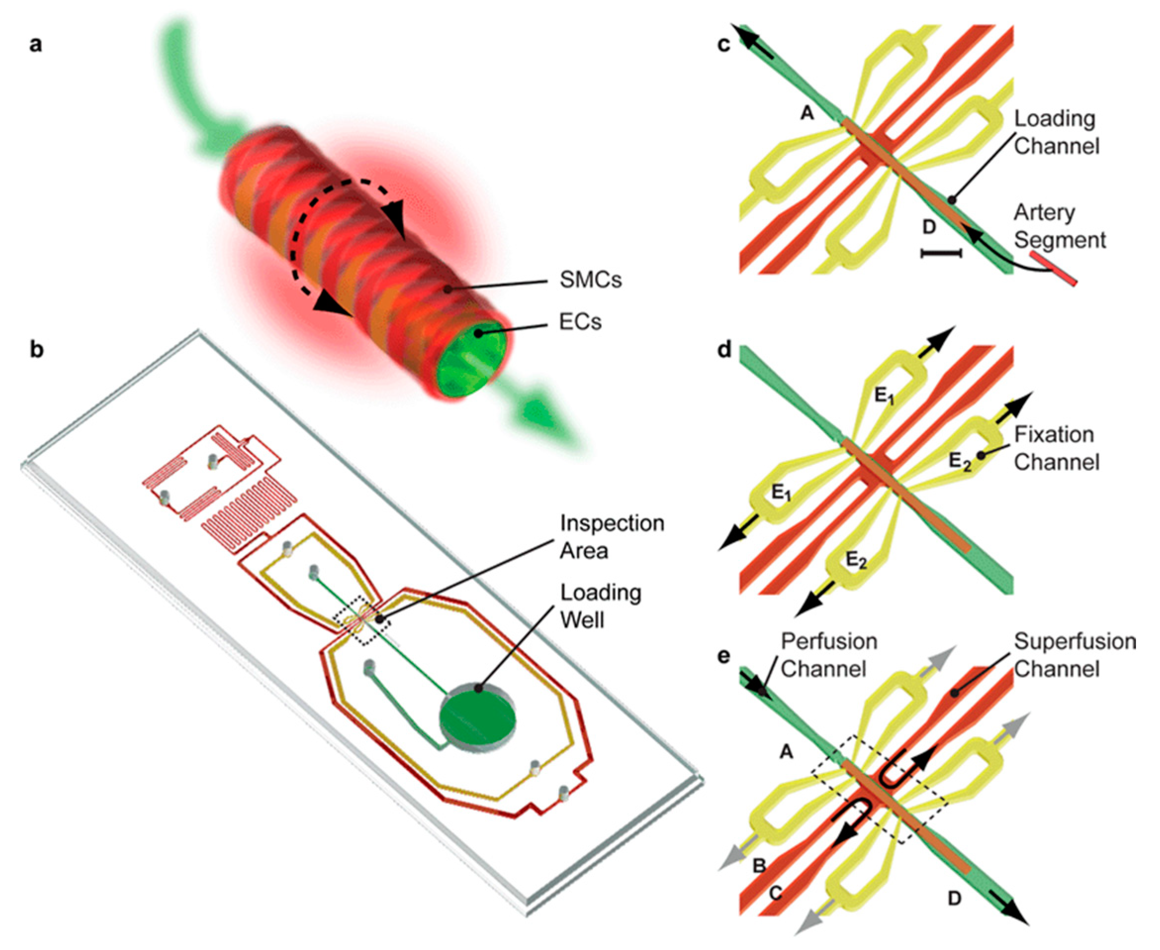 Biosensors 14 00225 g004 Biosensors 14 00225 g004