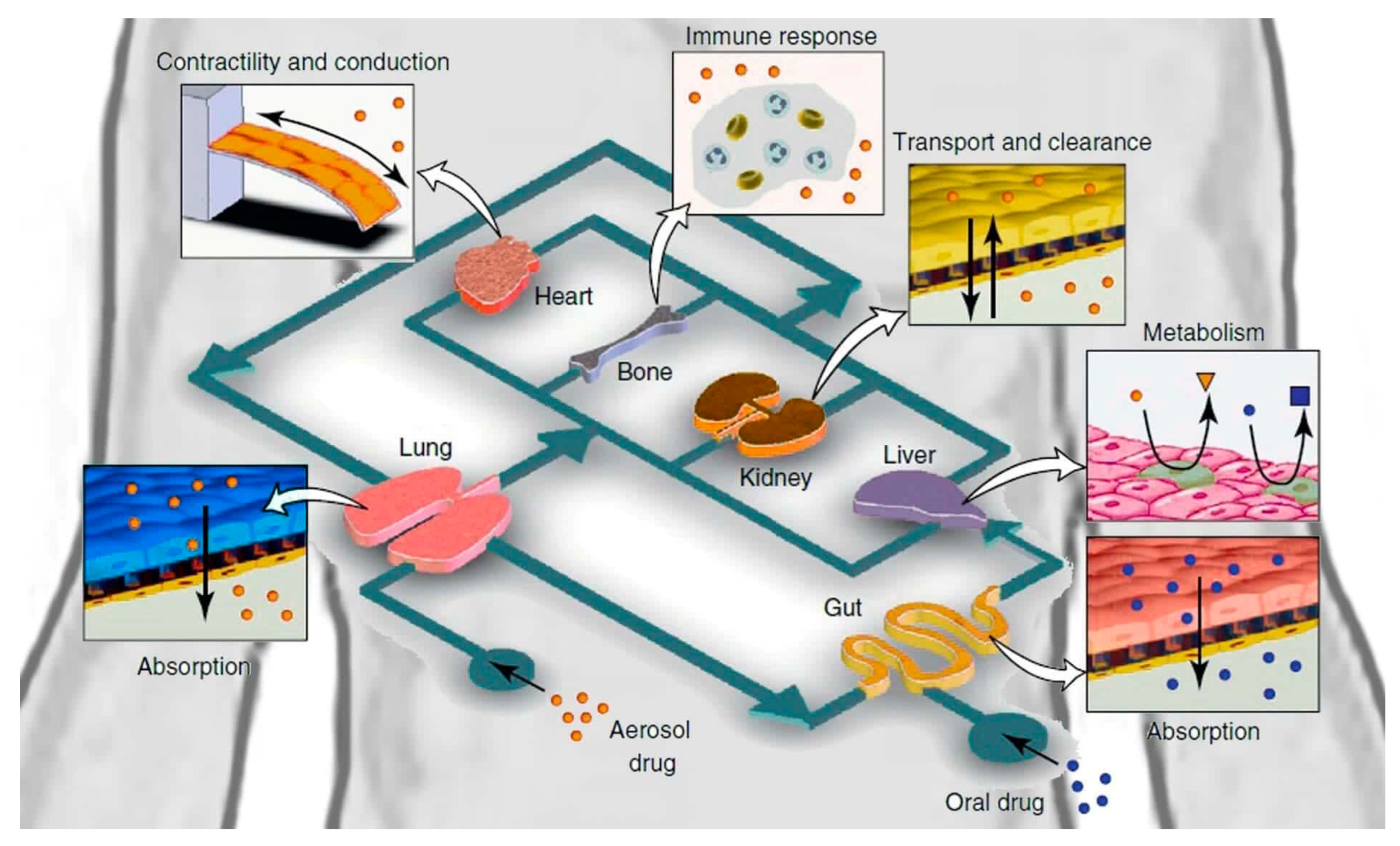 Biosensors 14 00225 g008 Biosensors 14 00225 g008