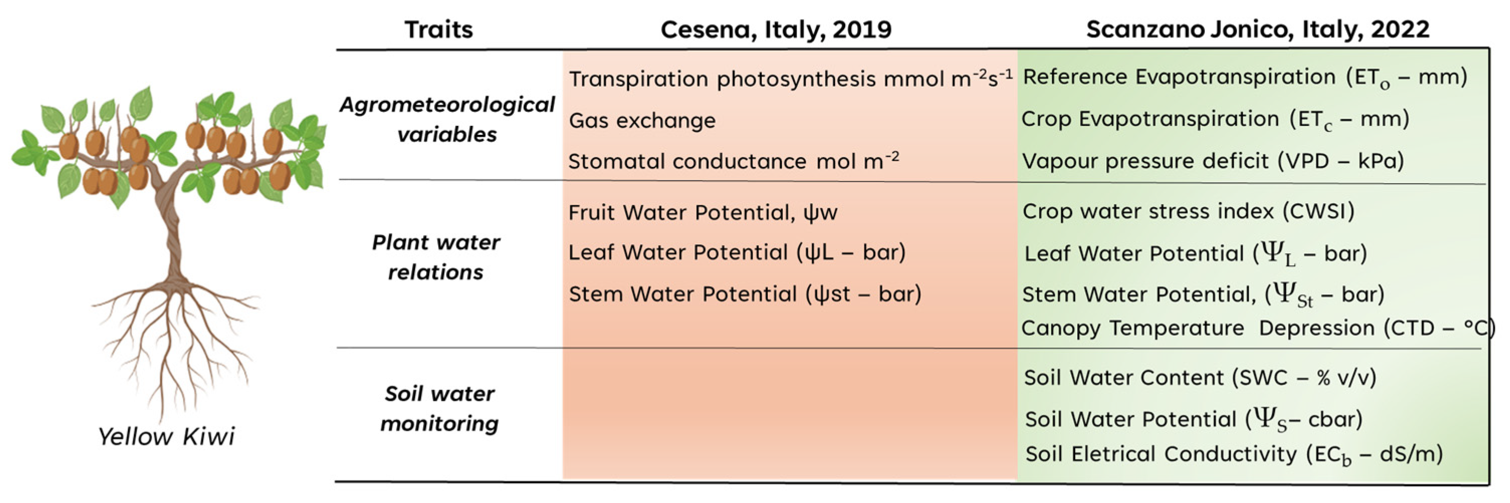 Biosensors 14 00226 g002