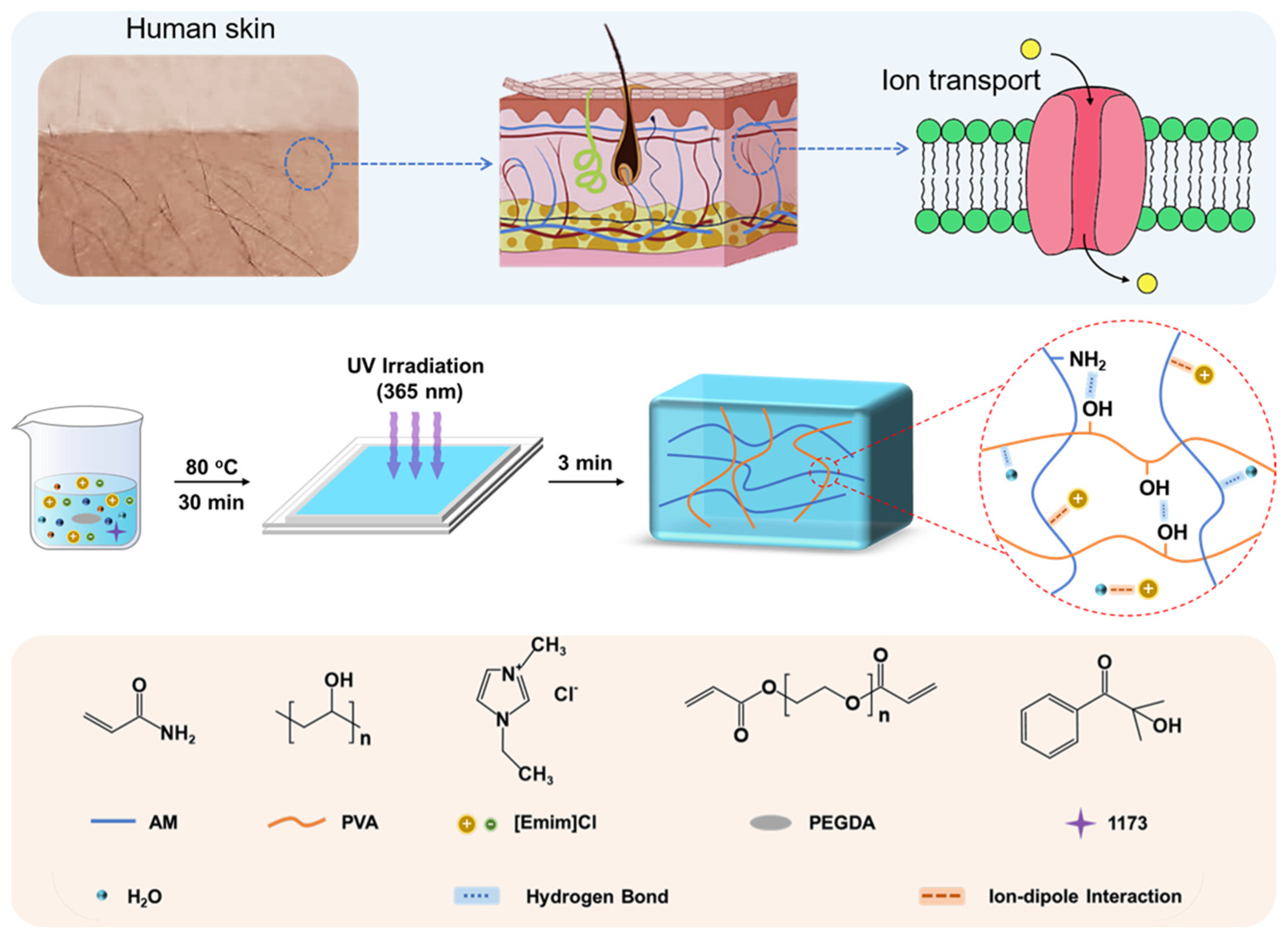 Biosensors 14 00227 sch001