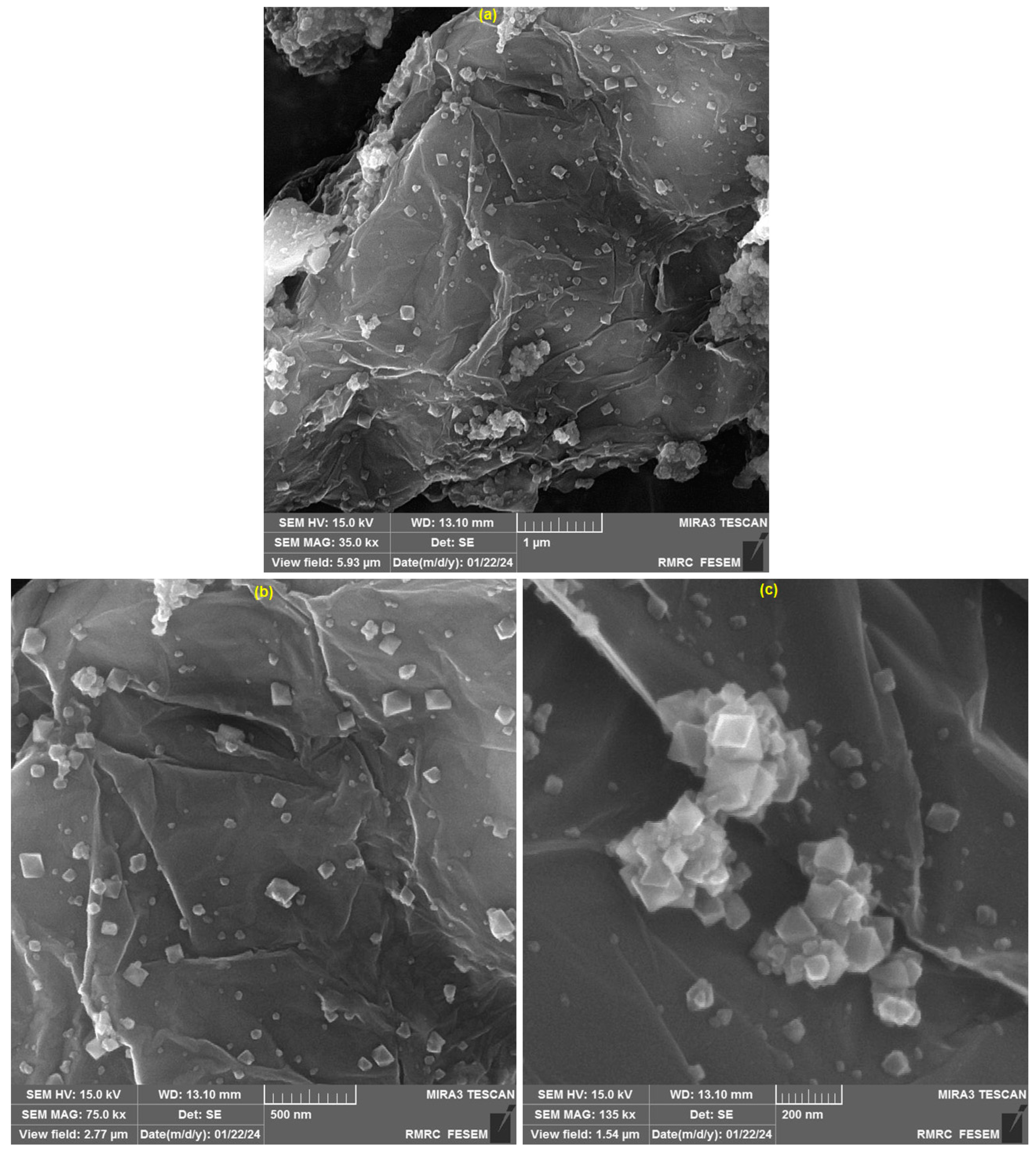 Biosensors 14 00229 g002