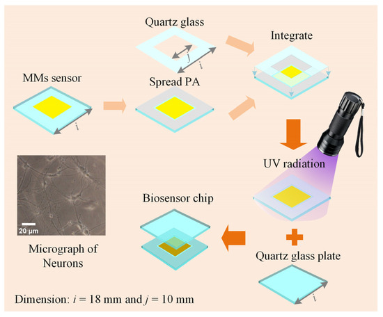 Detection of In Vivo-like Cells by a Biosensor Chip Based on ...