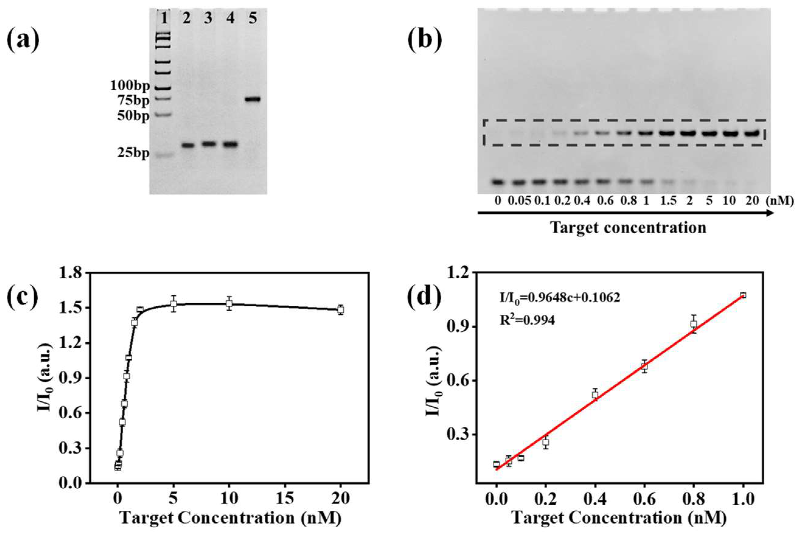 Biosensors 14 00232 g001