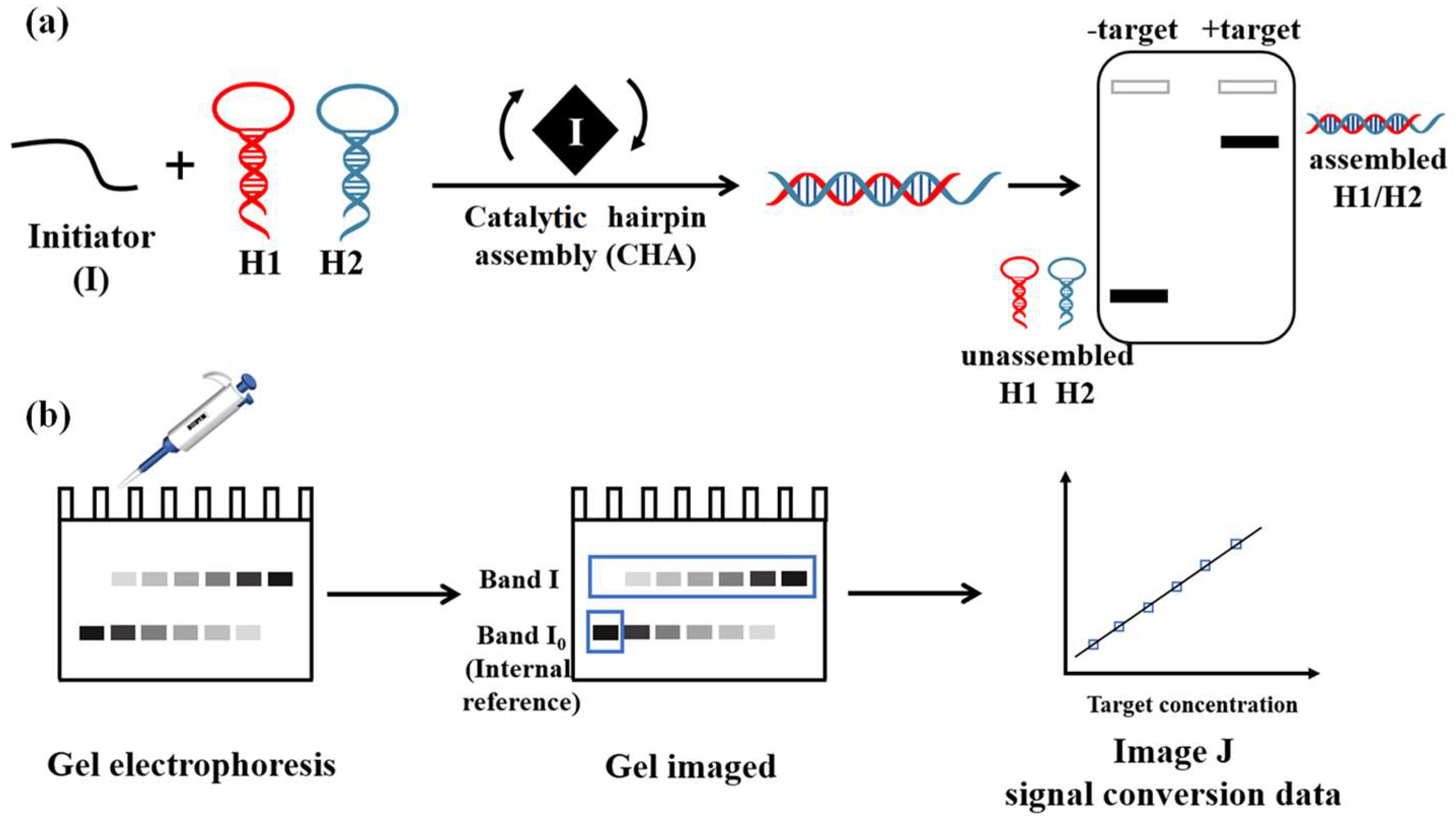 Biosensors 14 00232 sch001