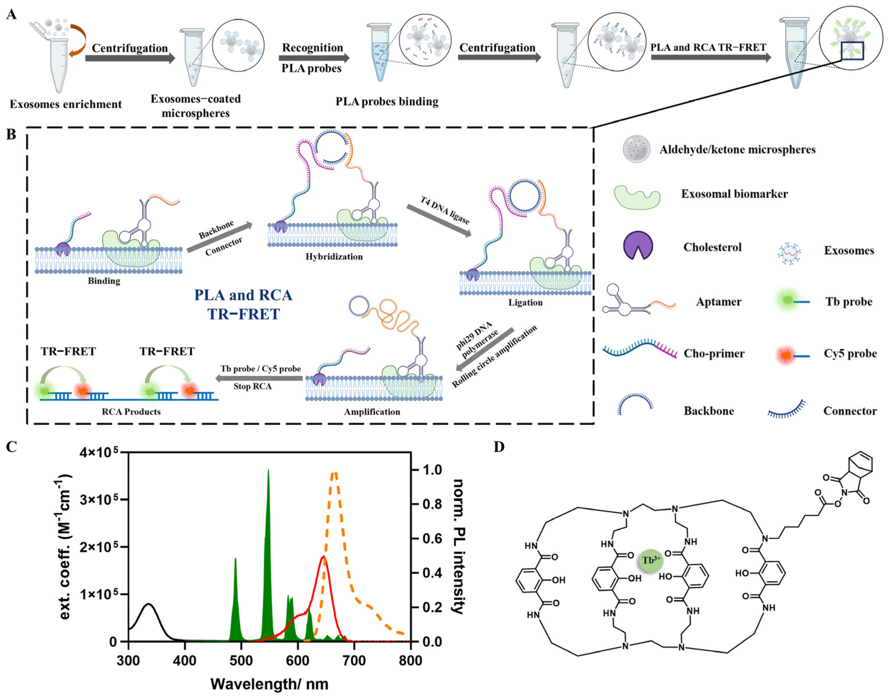 Biosensors 14 00233 g001