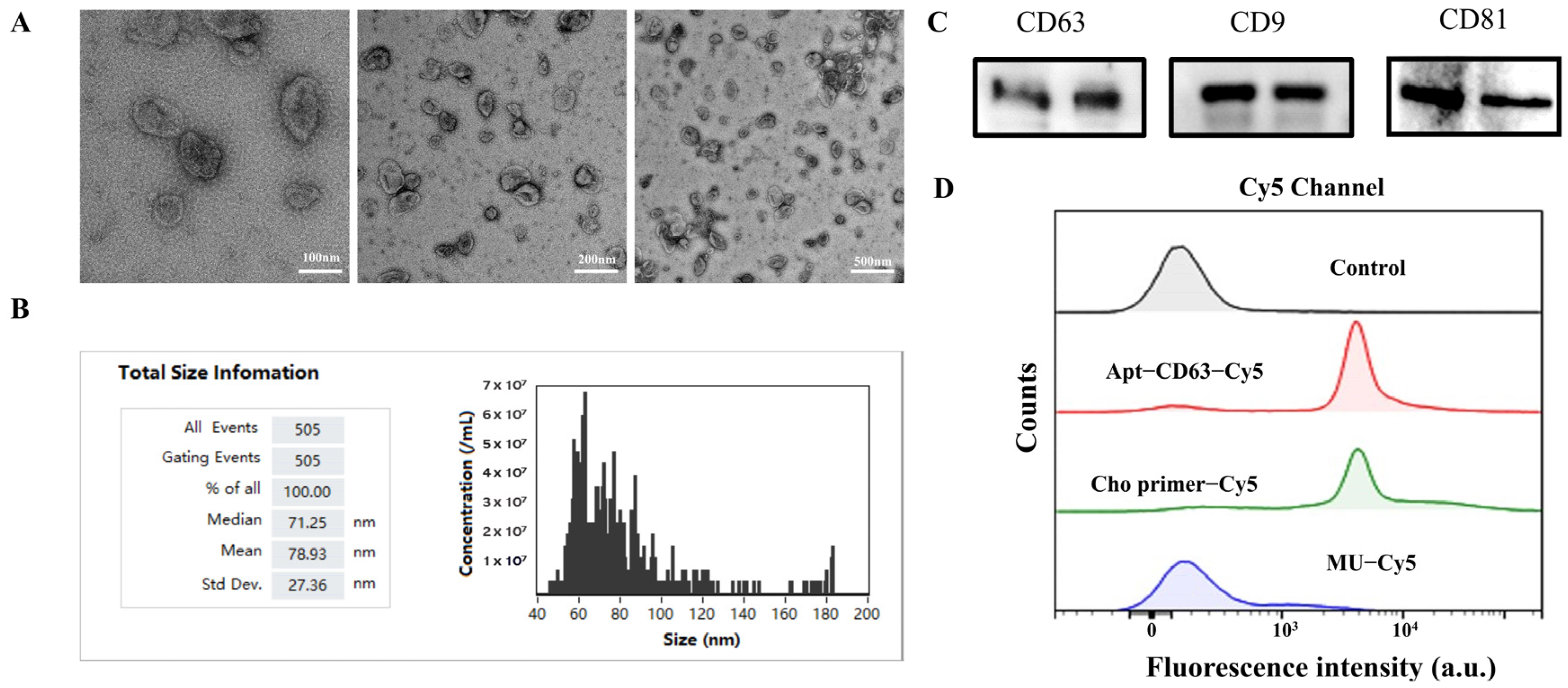 Biosensors 14 00233 g002