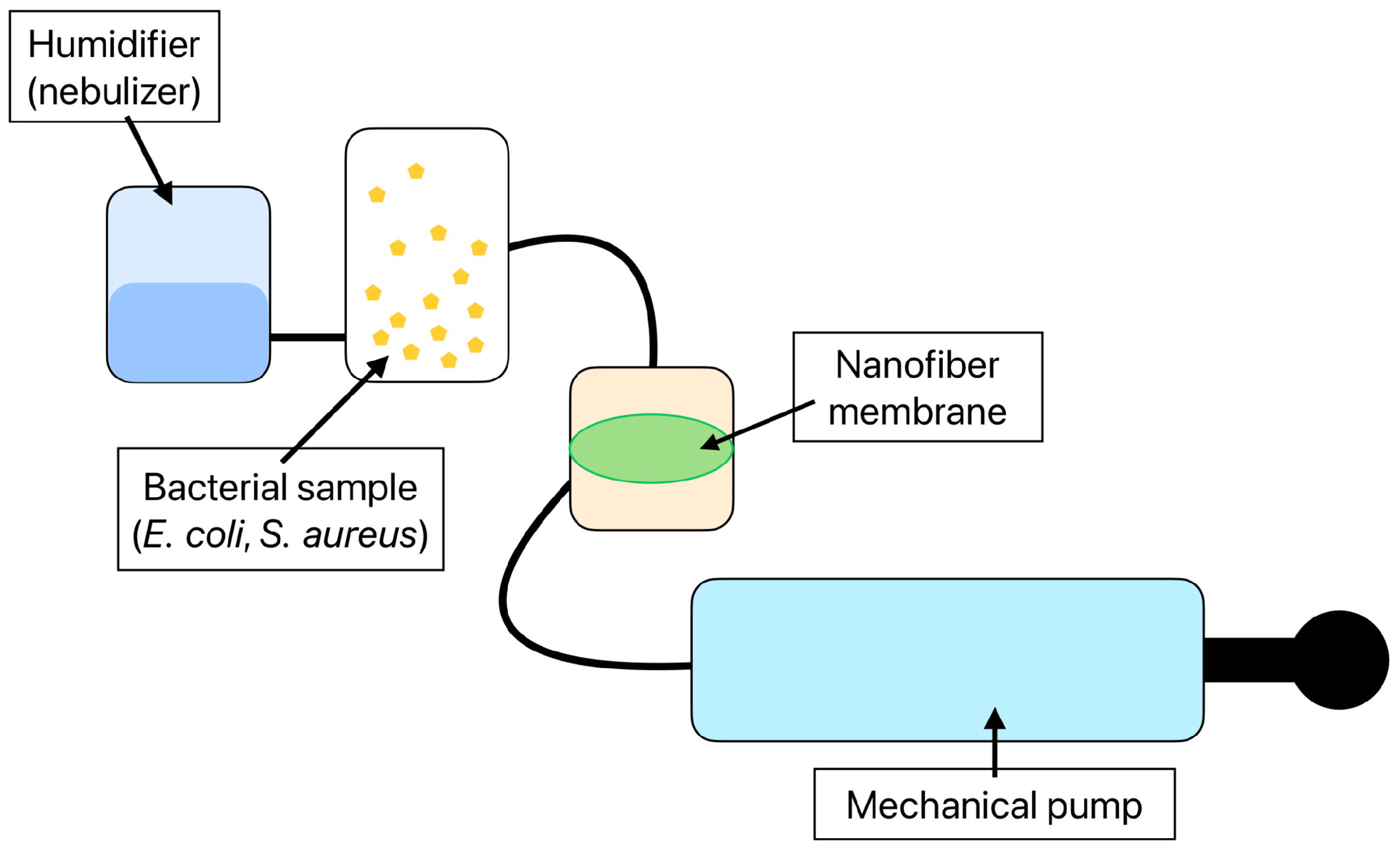Biosensors 14 00234 g002