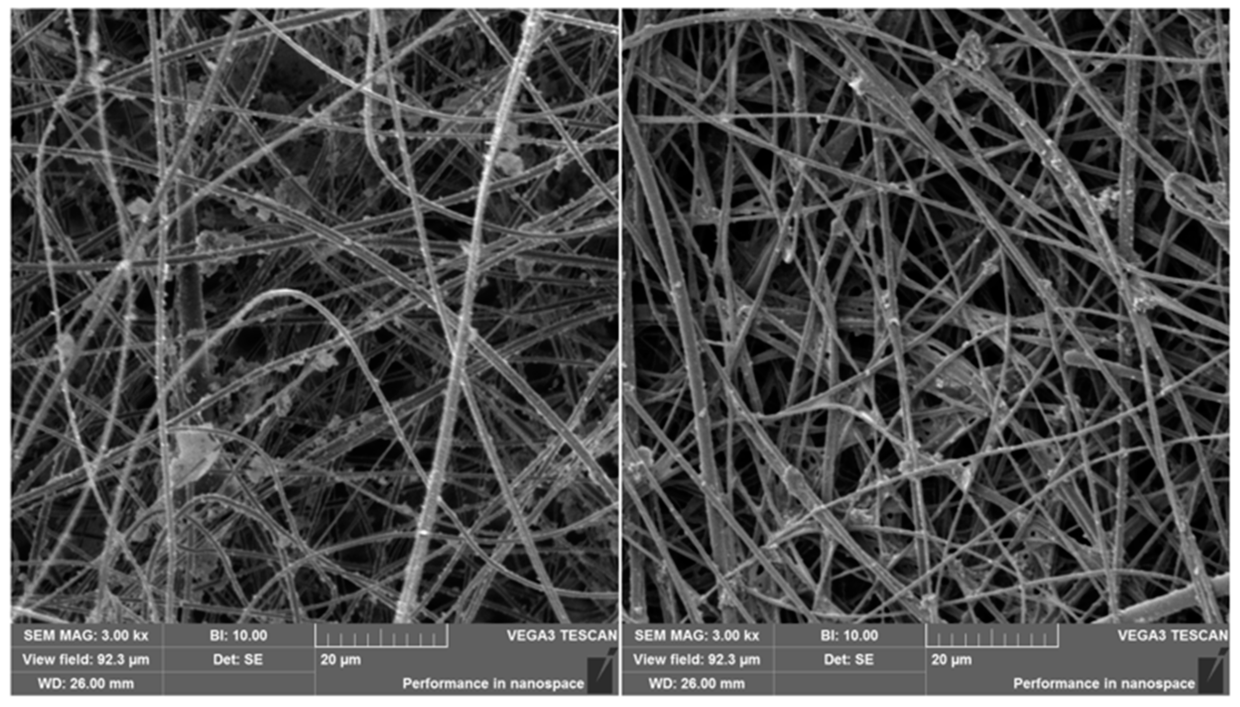 Biosensors 14 00234 g003