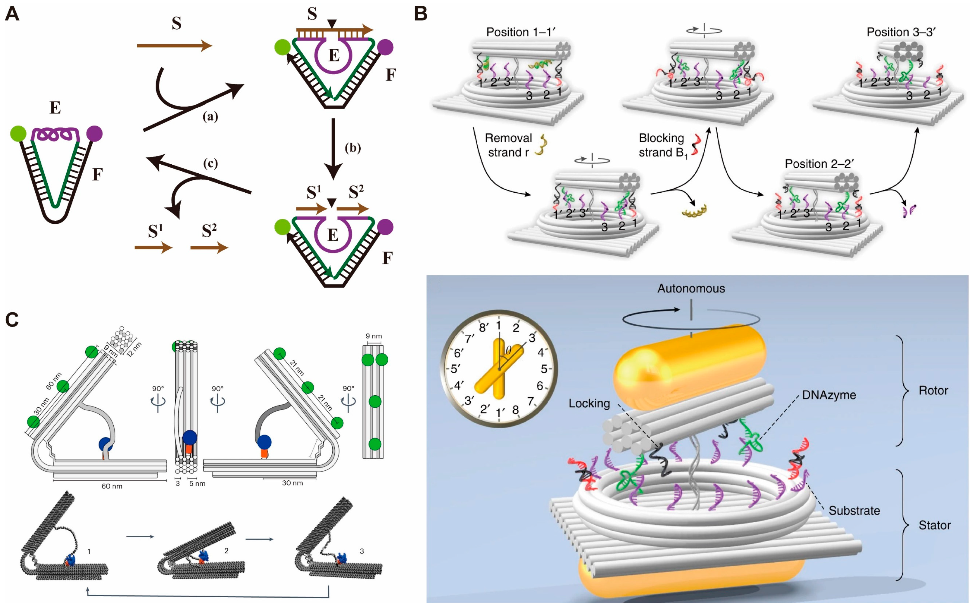 Biosensors 14 00236 g002