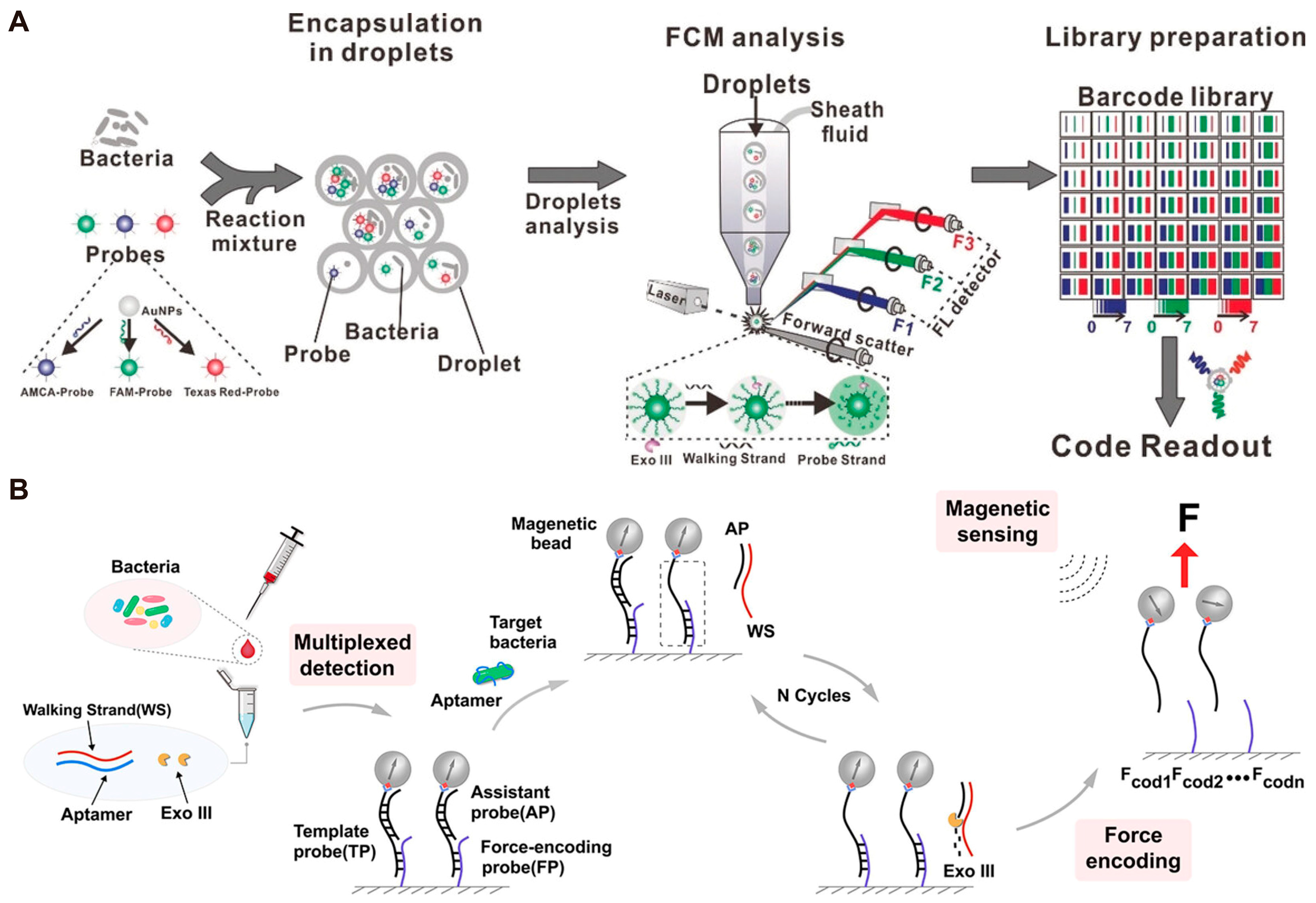 Biosensors 14 00236 g006