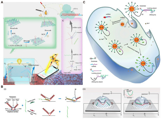 DNA-Based Molecular Machines: Controlling Mechanisms and