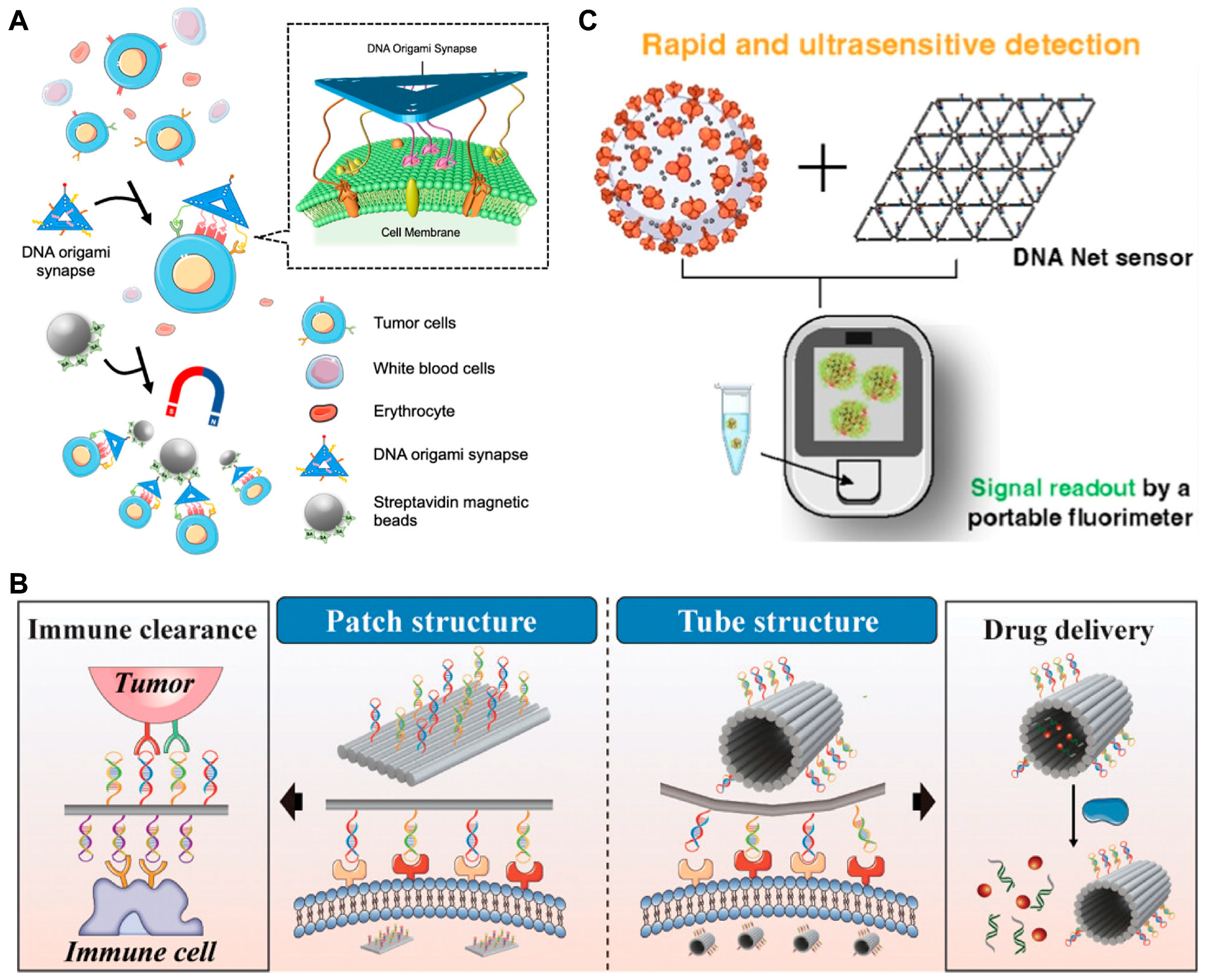 Biosensors 14 00236 g009