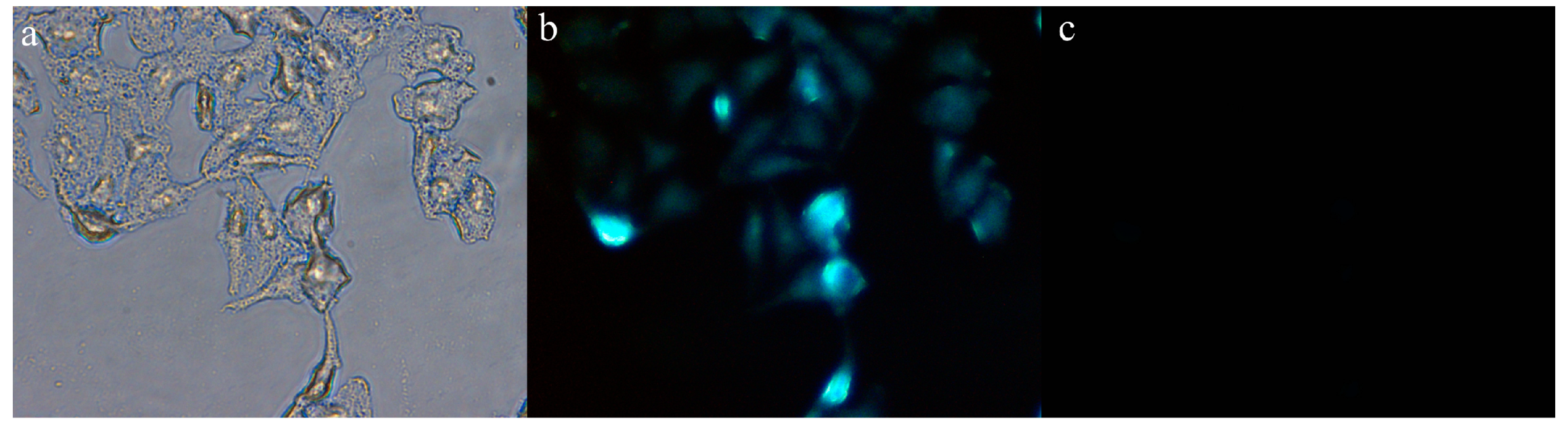 Biosensors 14 00244 g009