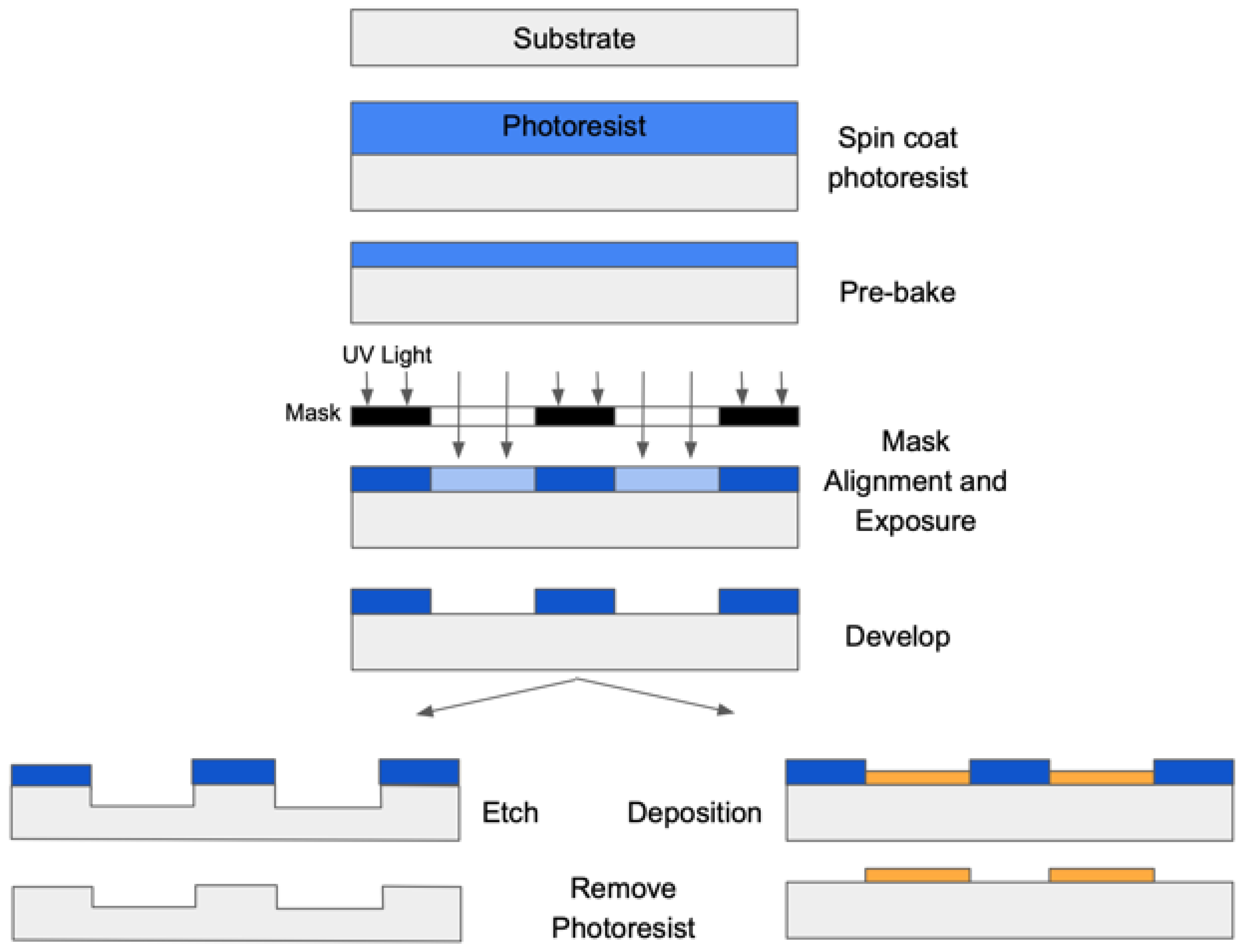 Biosensors 14 00249 g003
