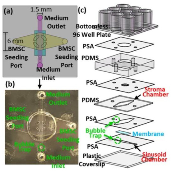 Biosensors Free FullText DoubleSided Tape in Microfluidics A CostEffective Method in