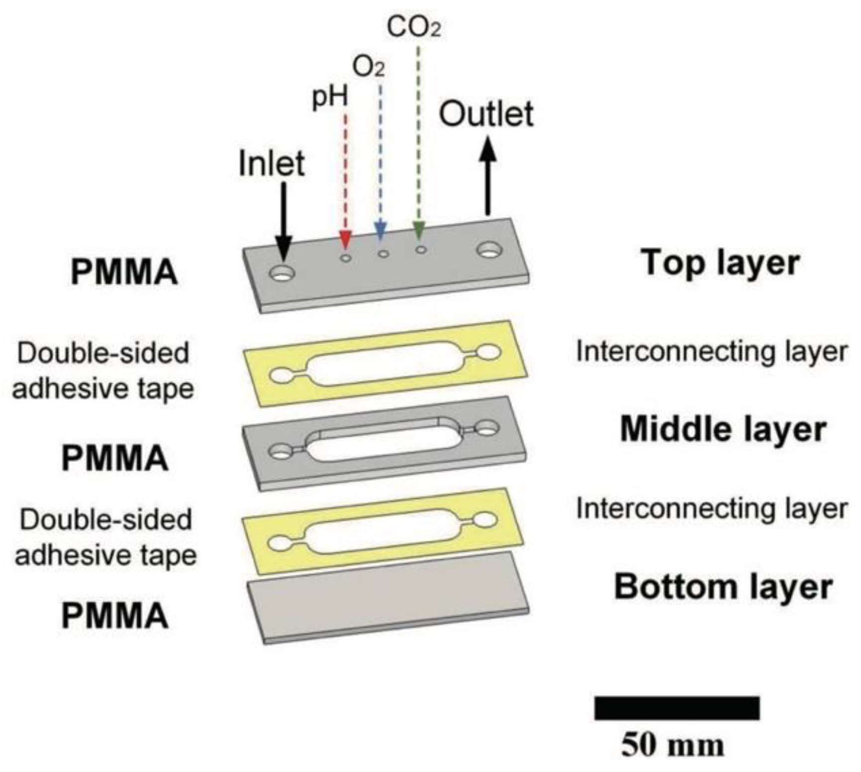 Biosensors 14 00249 g012
