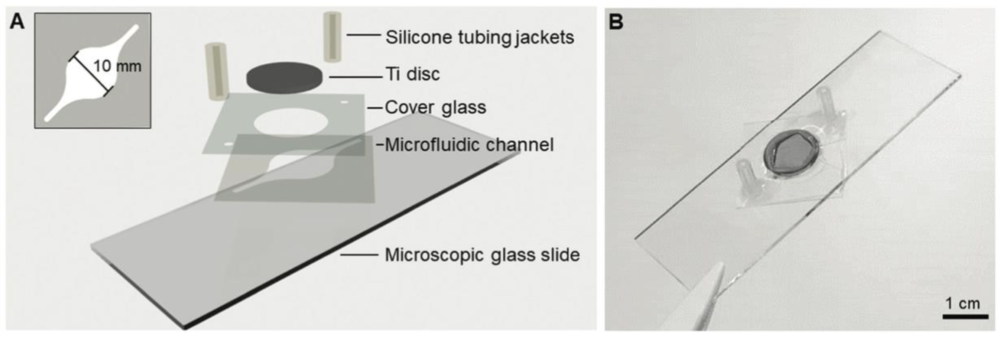 Biosensors 14 00249 g014