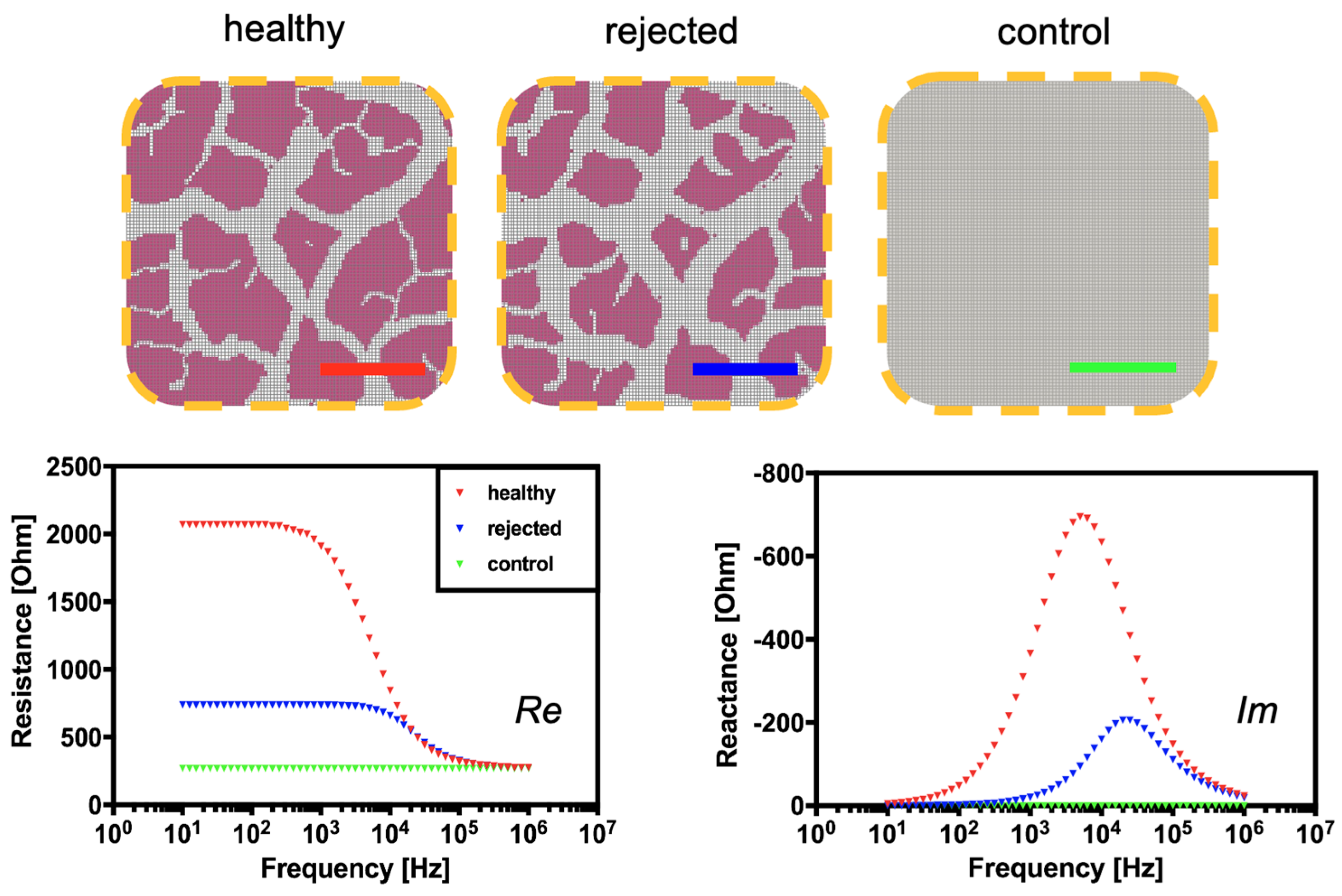 Biosensors 14 00253 g003