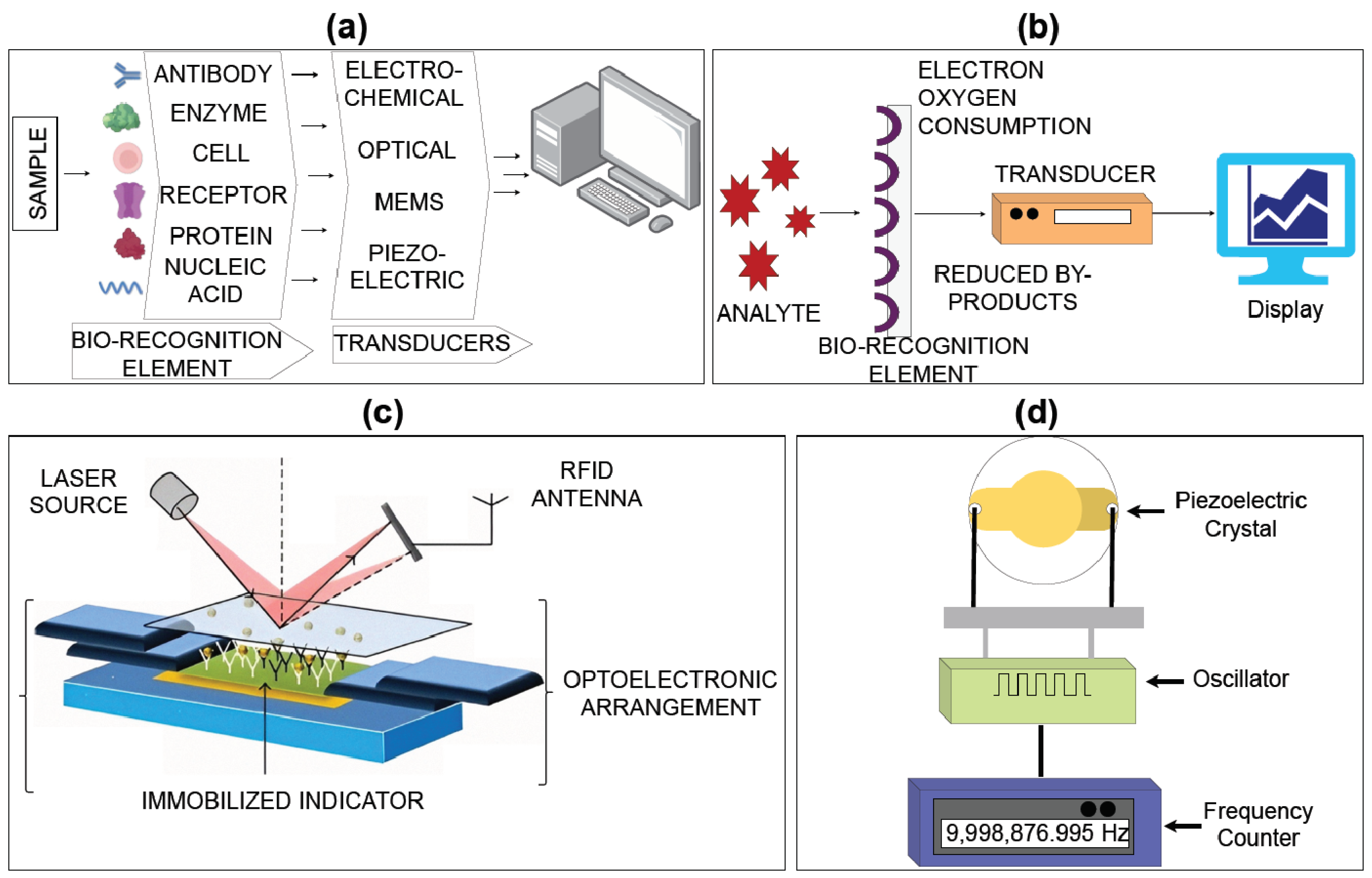 Biosensors 14 00254 g003
