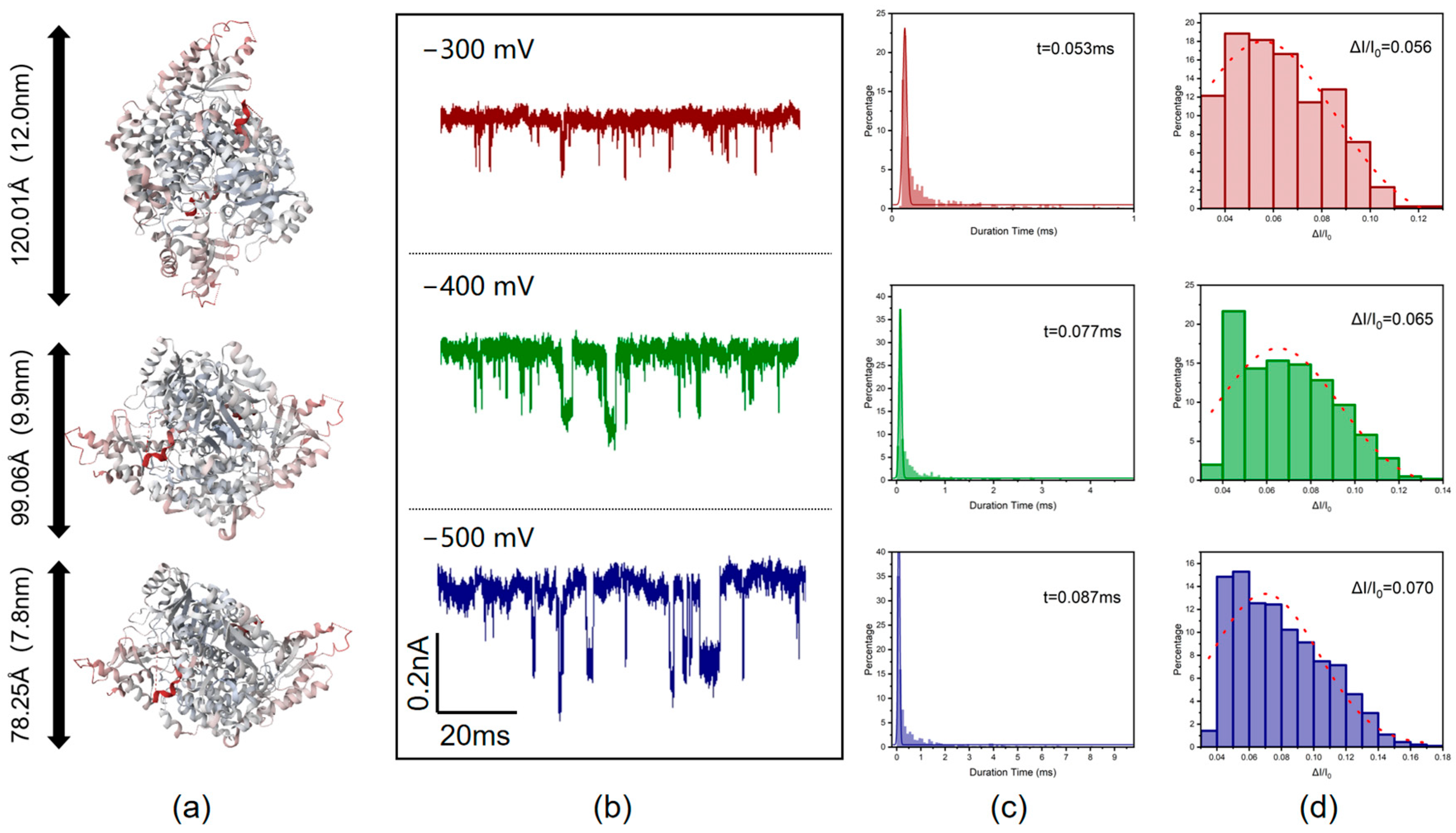 Biosensors 14 00255 g002 Biosensors 14 00255 g002