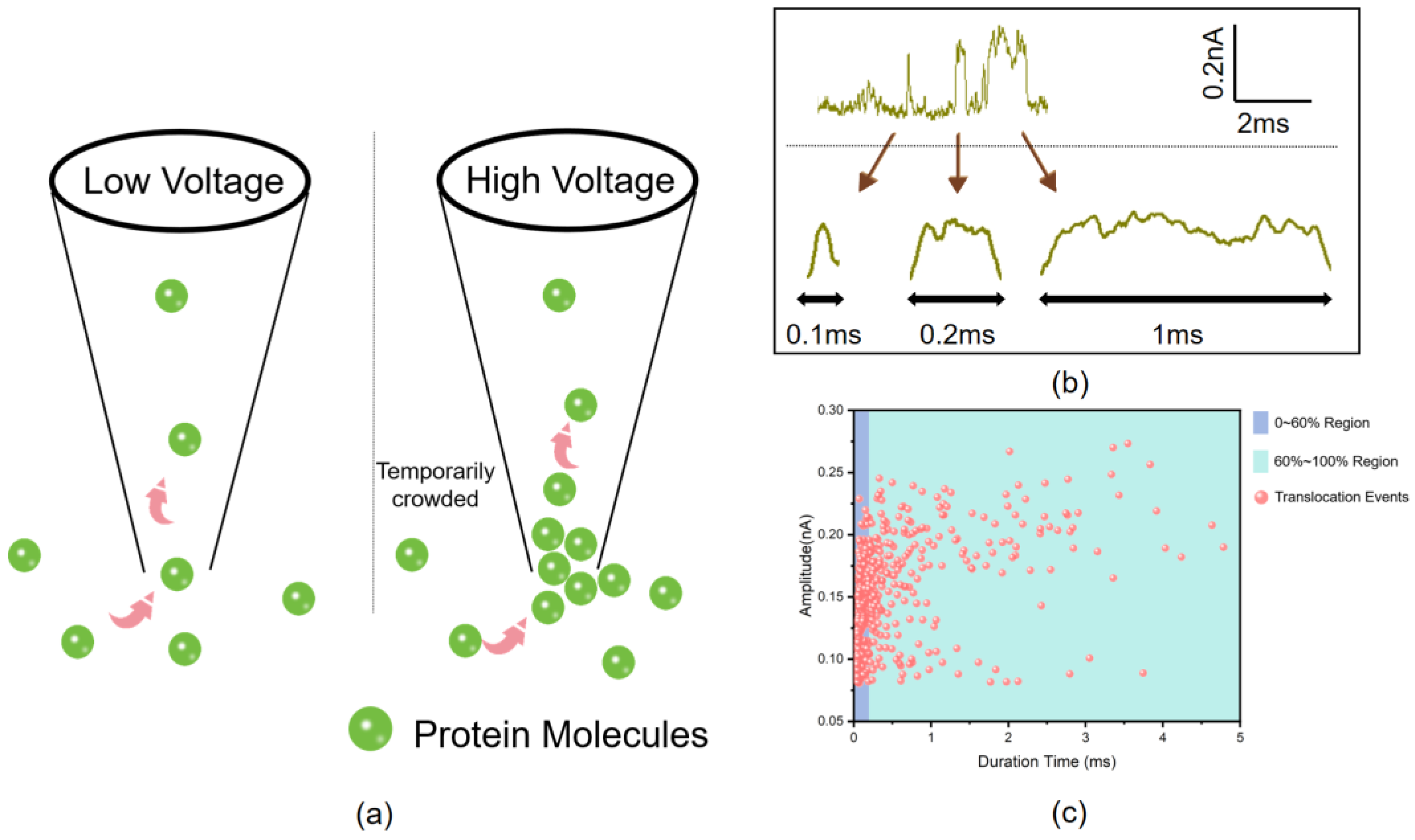 Biosensors 14 00255 g003 Biosensors 14 00255 g003