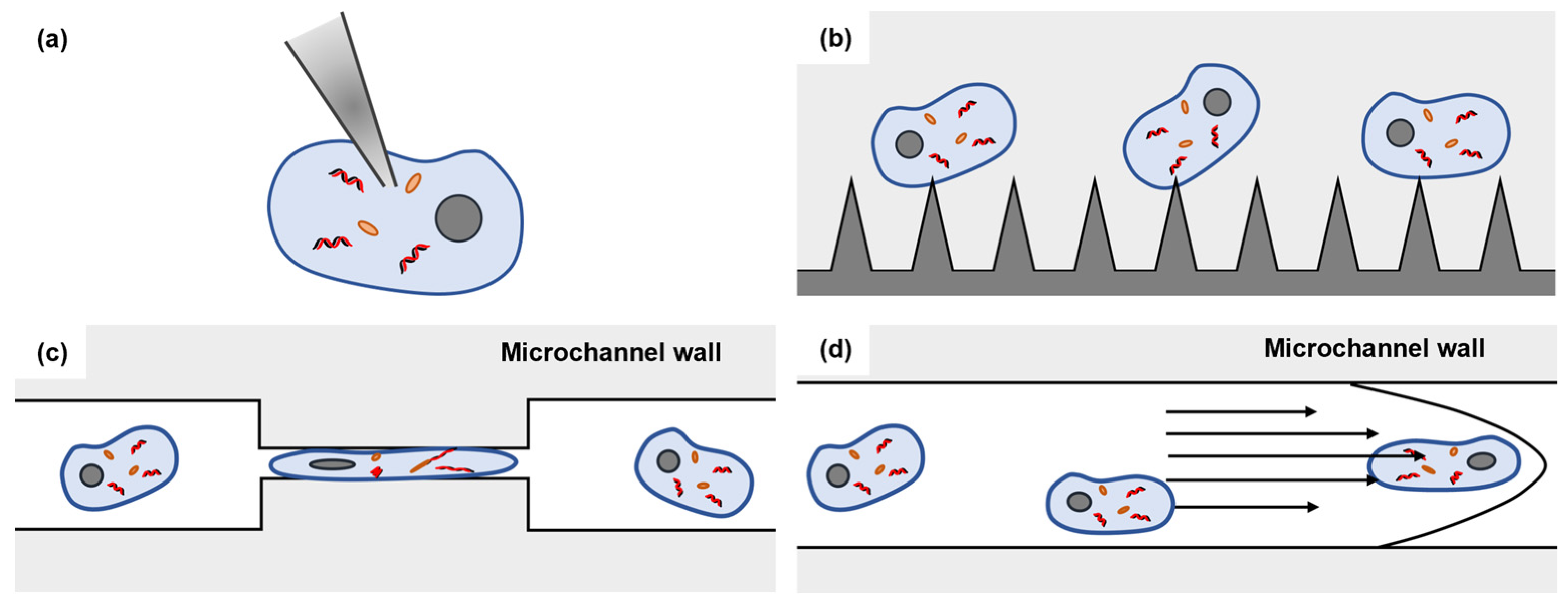 Biosensors 14 00256 g001