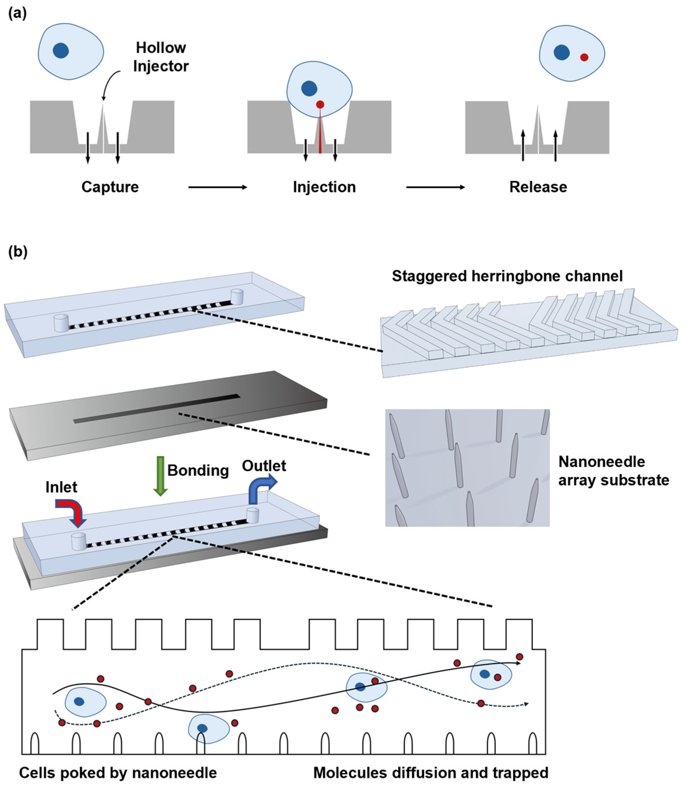 Biosensors 14 00256 g003