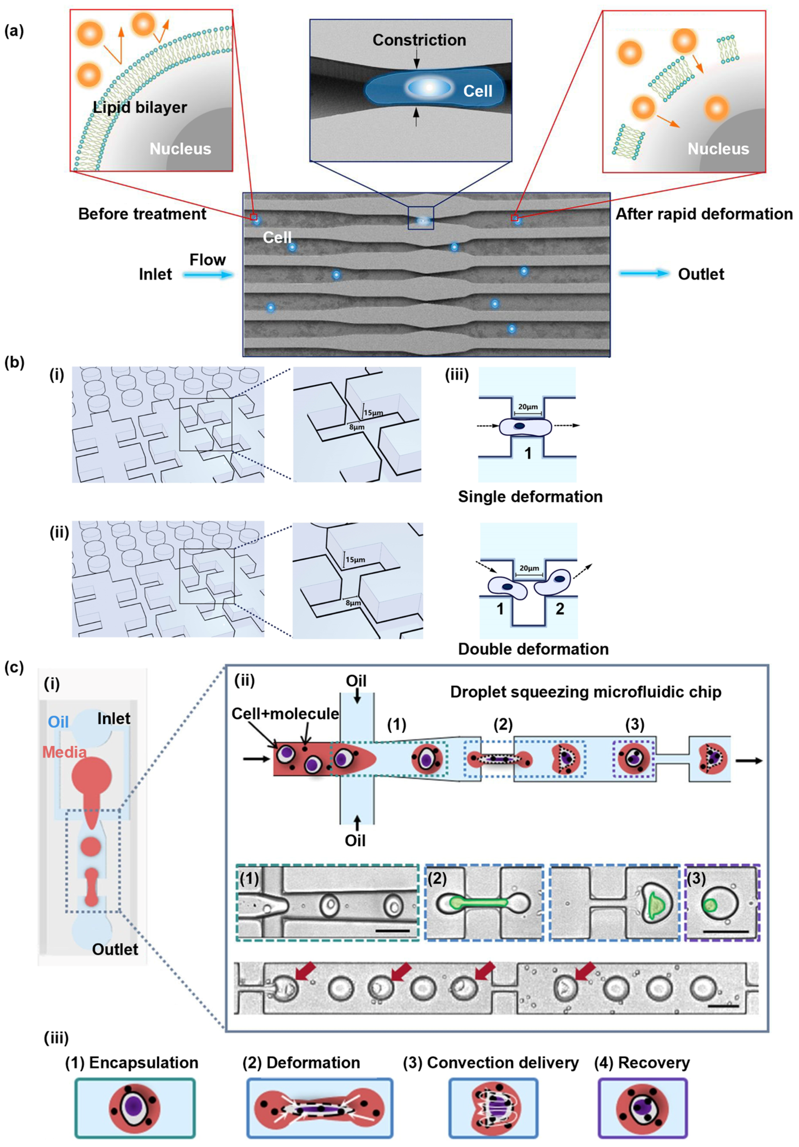 Biosensors 14 00256 g004