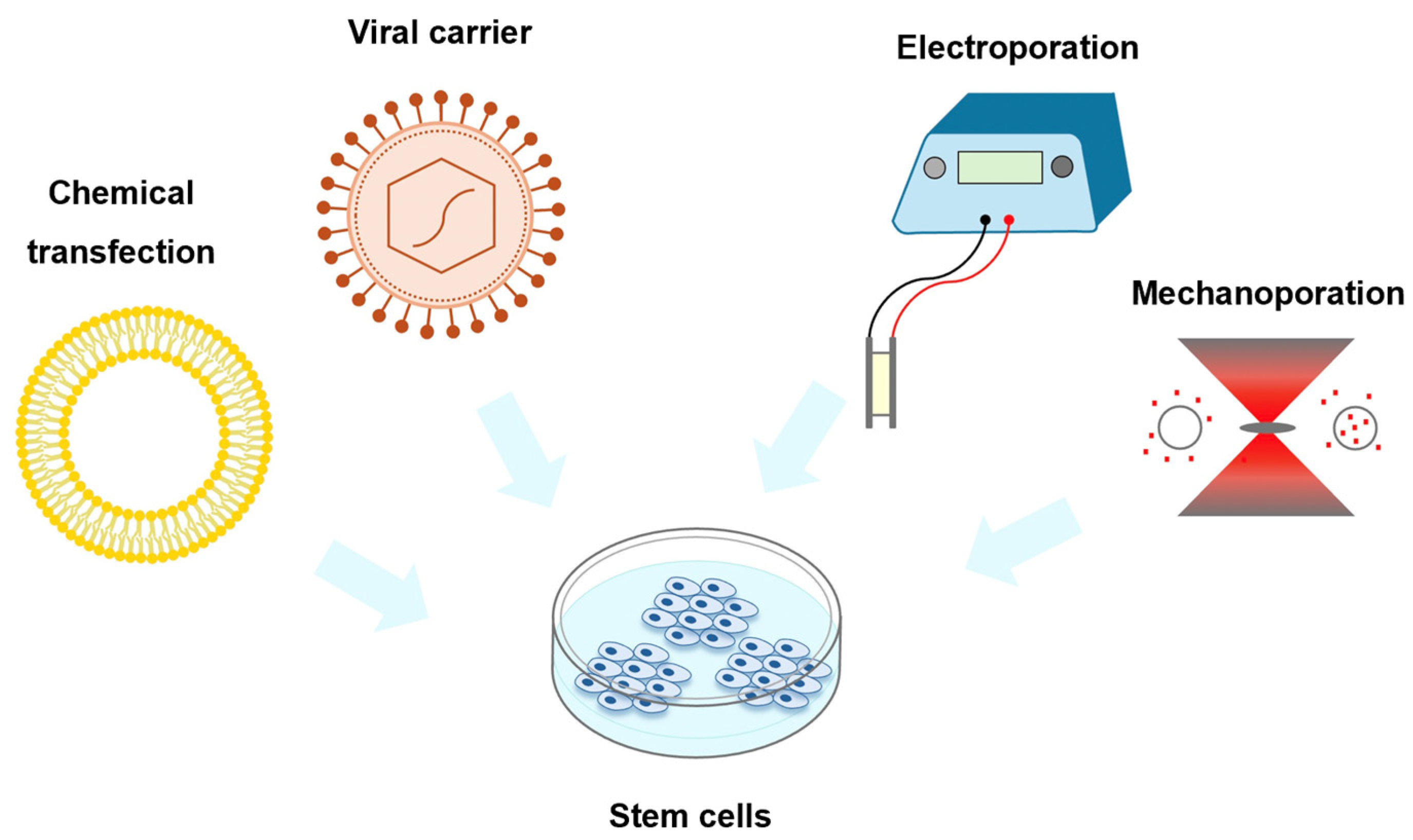 Biosensors 14 00256 g006