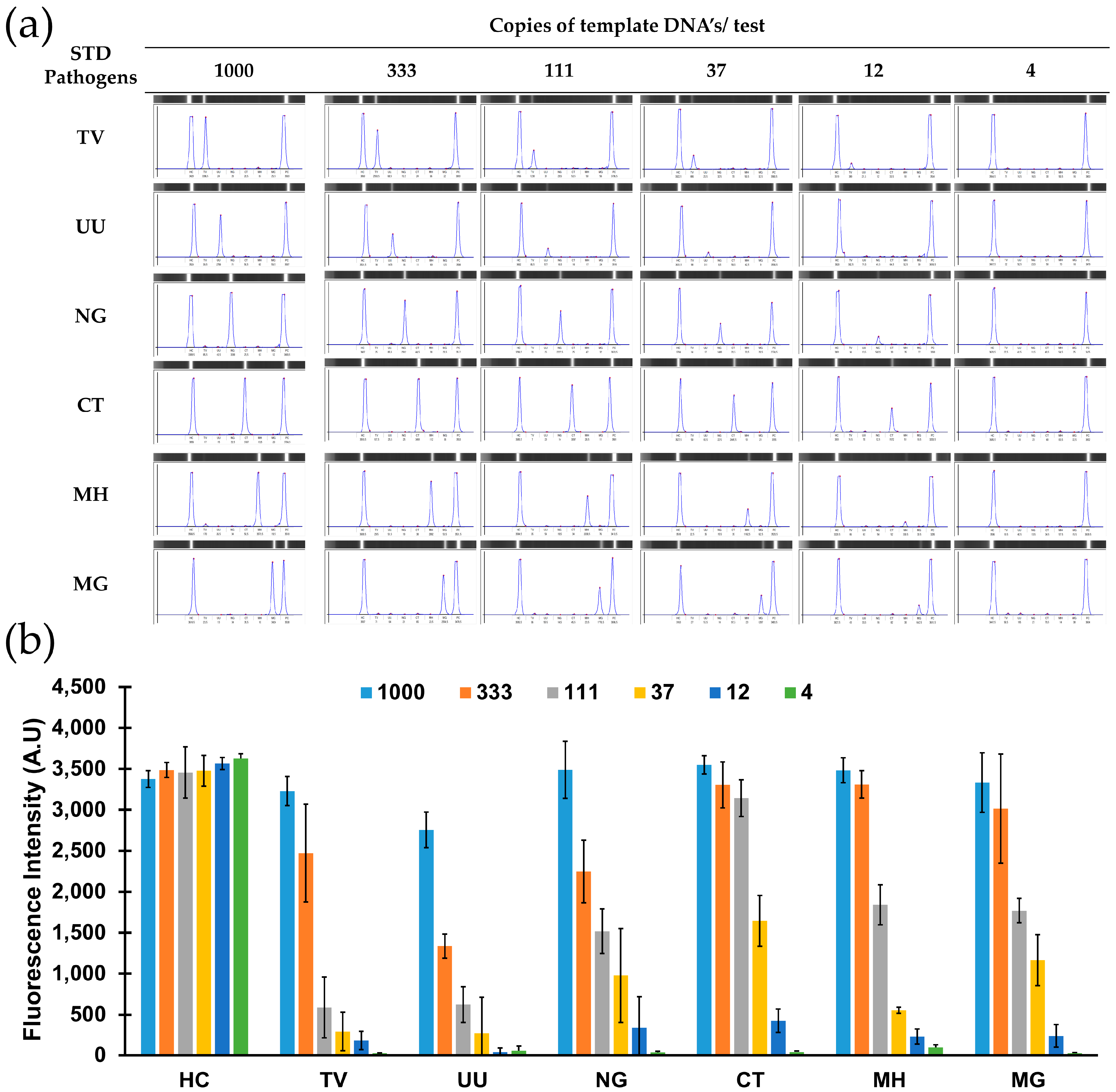 Biosensors 14 00260 g004