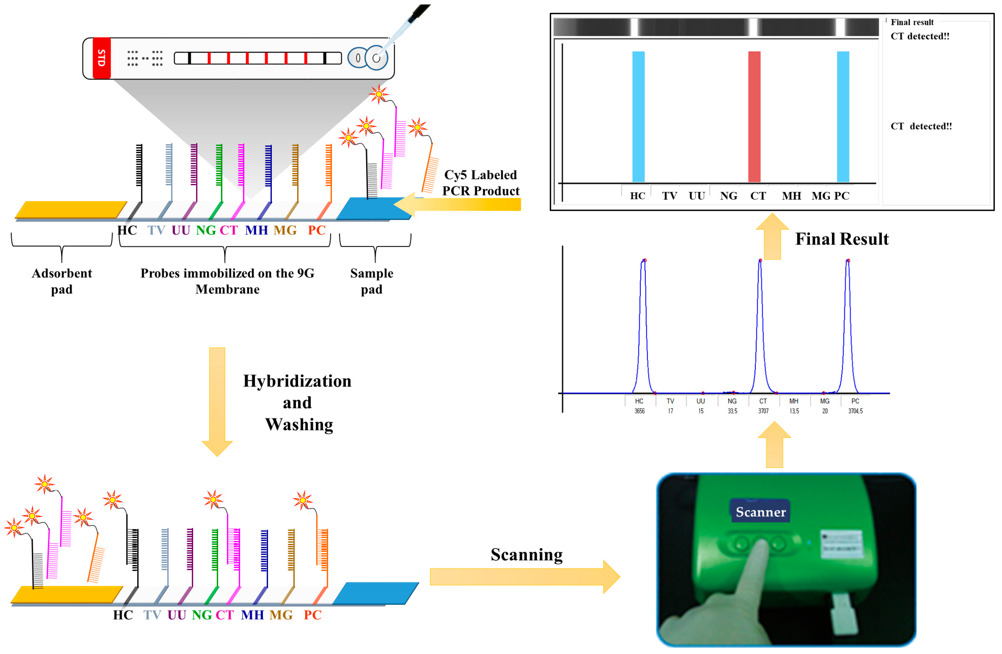 Biosensors 14 00260 sch001